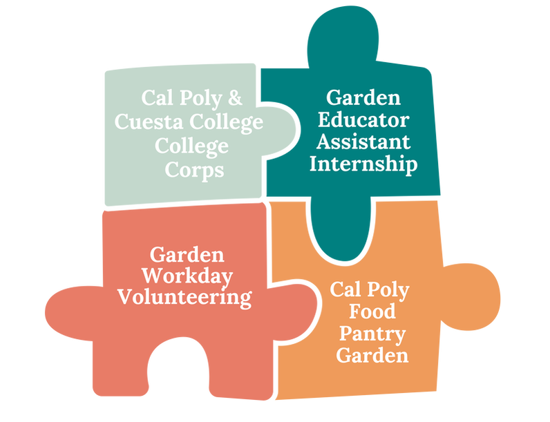 College Mentorship Opportunities
