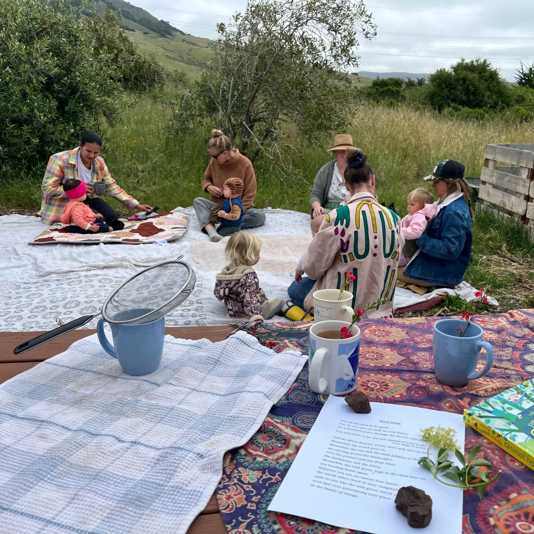 Group of children and adults enjoying an outdoor gathering on a large blanket in a grassy field with trees and hills in the background. There are cups, a plant, and a paper with words on it on the blanket.
