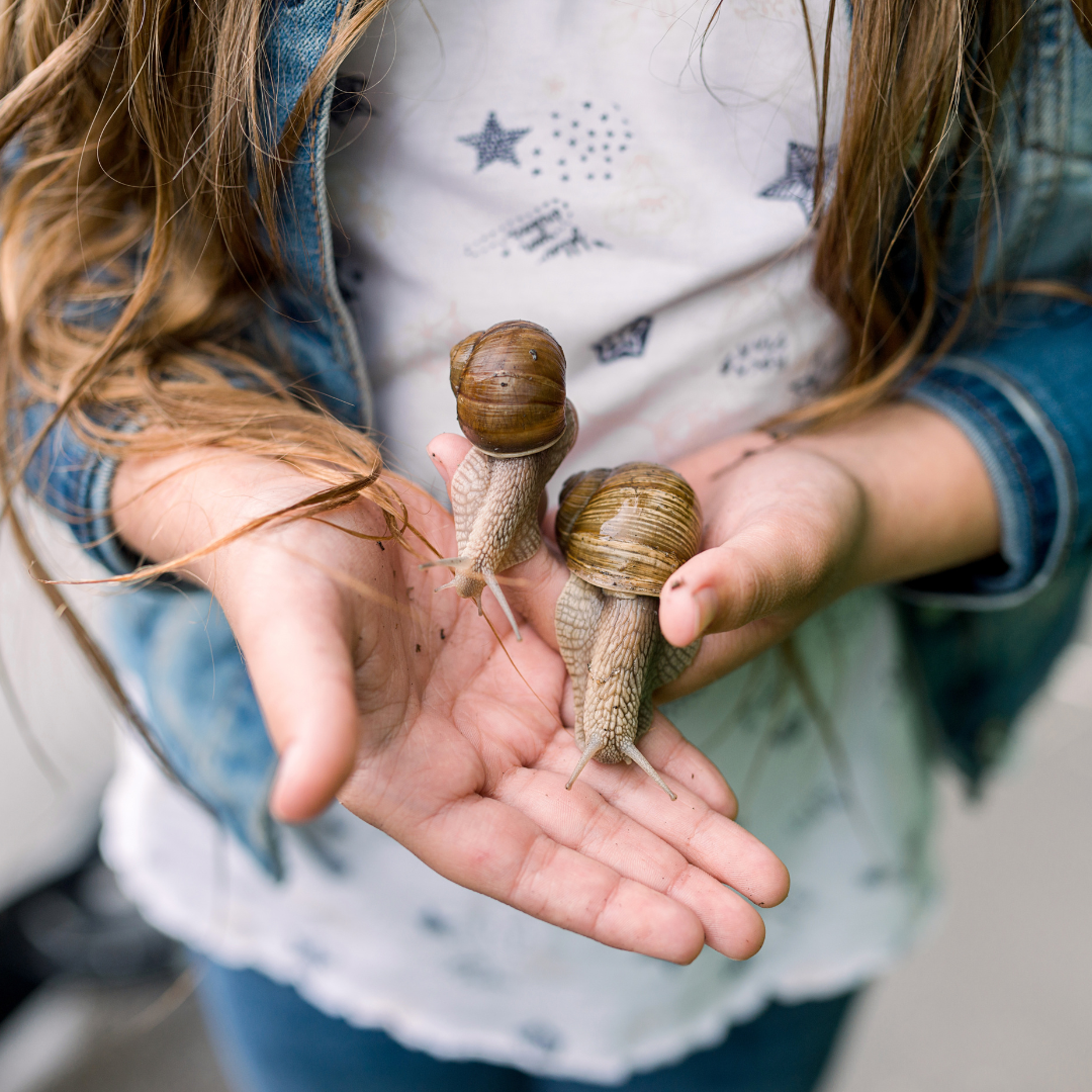 Girl holding two snails.