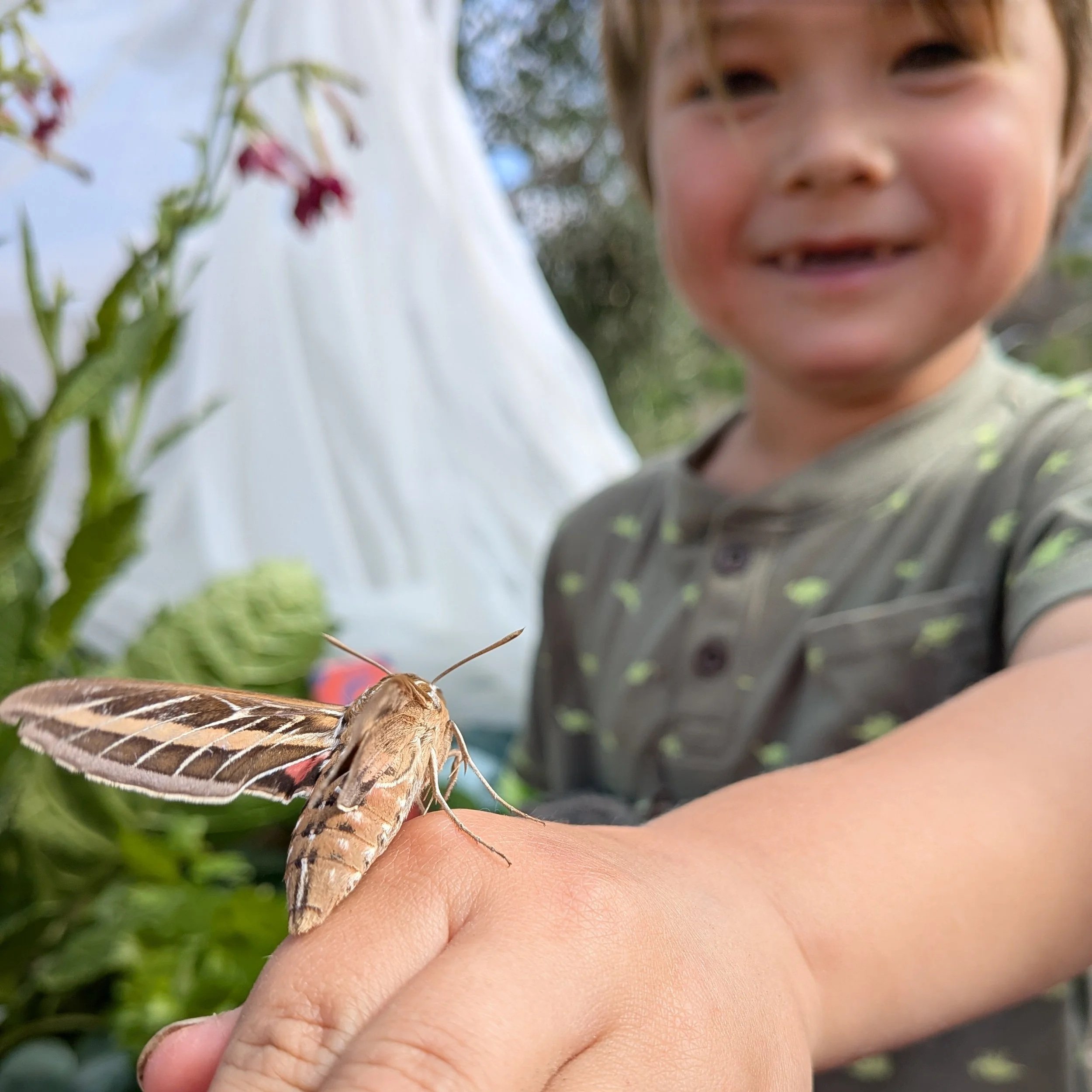 A close-up of a person's hand with a butterfly resting on their finger, with a child's face in the background outdoors, surrounded by green foliage.