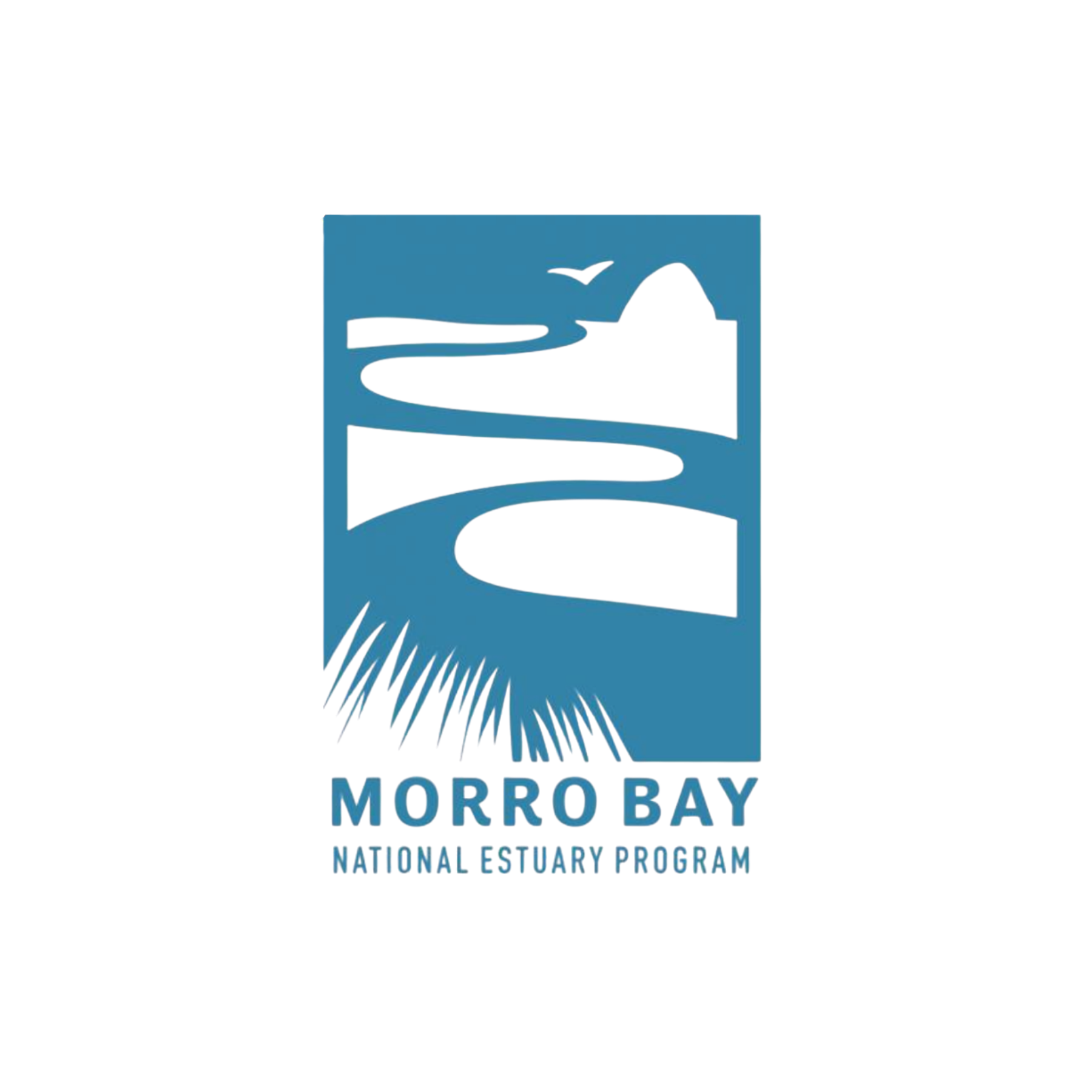 Logo for Morro Bay, featuring a stylized whale tail in black on a teal background. Text below reads "MORRO BAY NATIONAL ESTUARY PROGRAM."