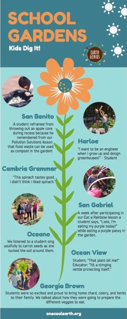2018 School Gardens
