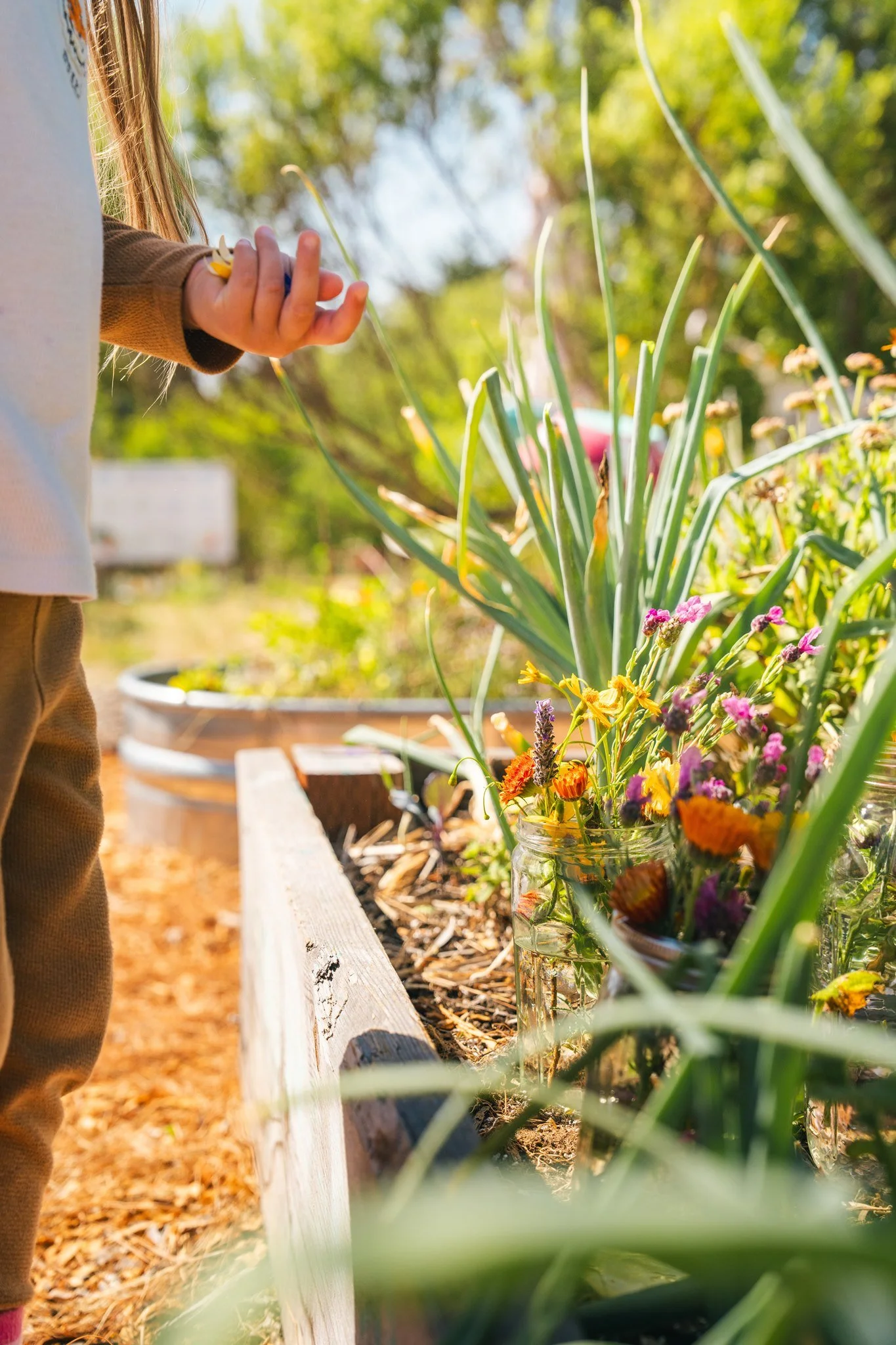 A child's hand holding a small gardening tool, working in a garden with flowering plants in glass jars, wooden garden bed, sunny outdoor setting with green trees and soil.