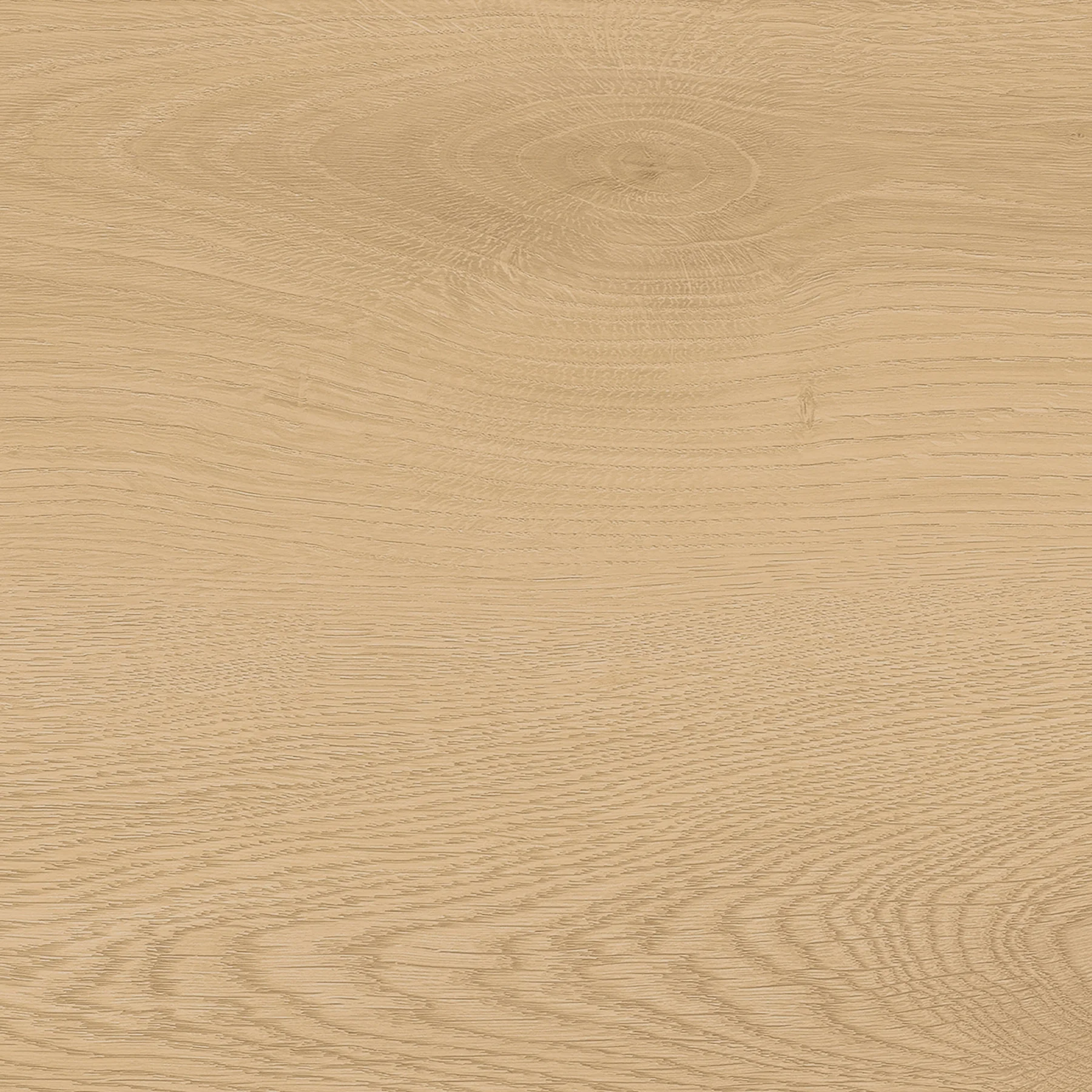13000 - 13020c.webp