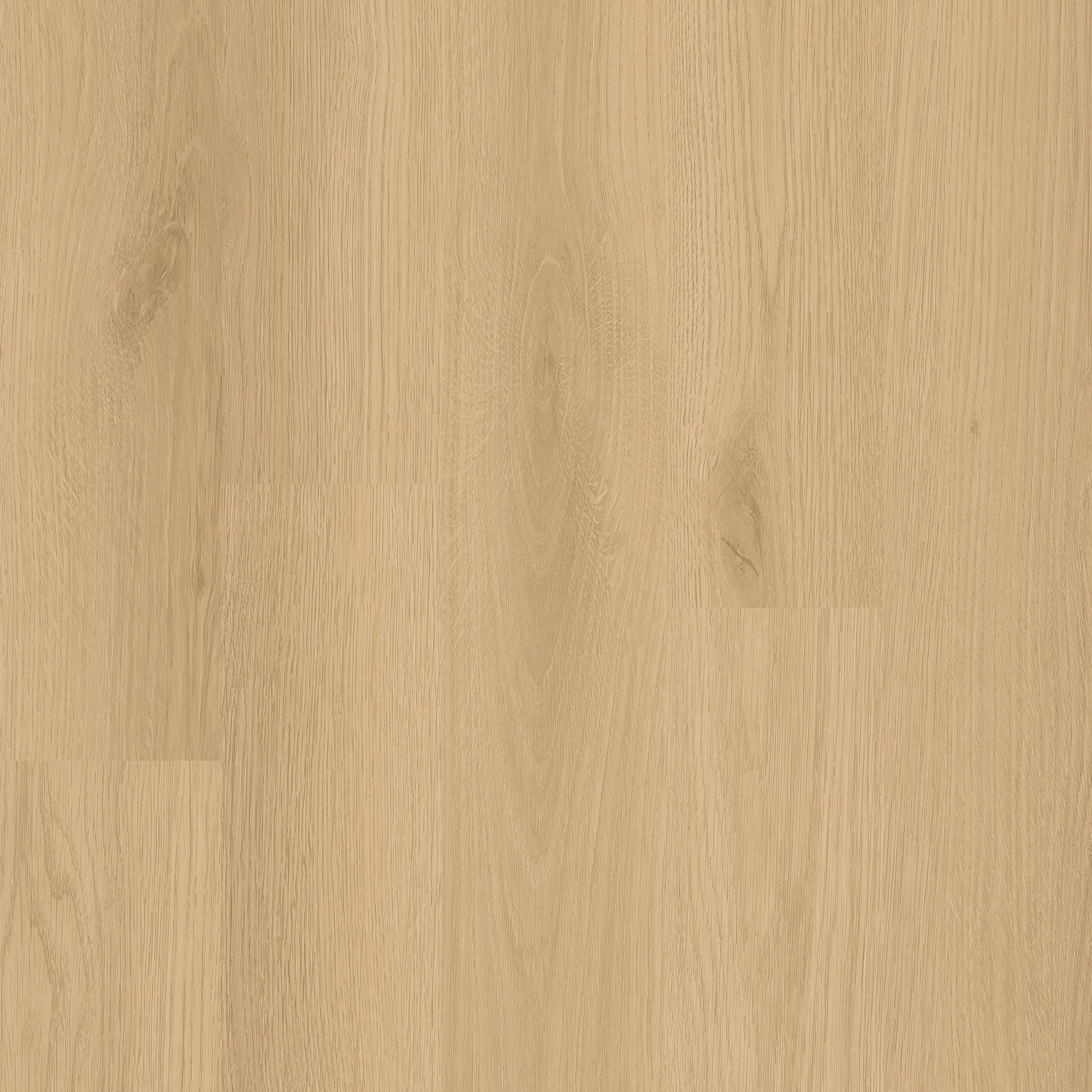 Coastal Oak