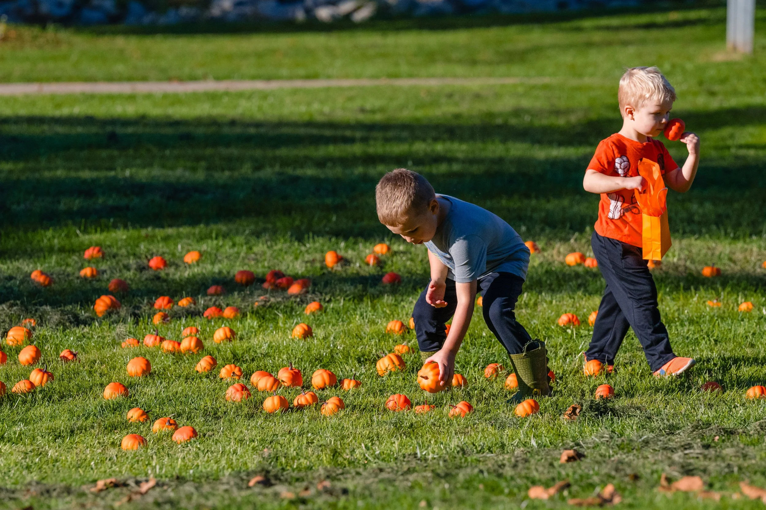 Family Fall Festival