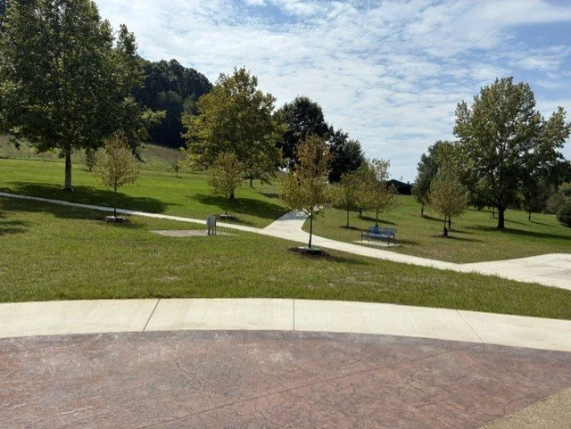 Trees1.jpg
