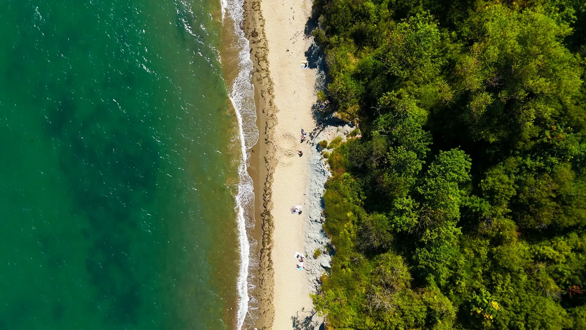 An aerial view of a sandy beach with waves crashing against the shore, bordered by green trees and dense foliage, with a few people relaxing and walking on the beach.