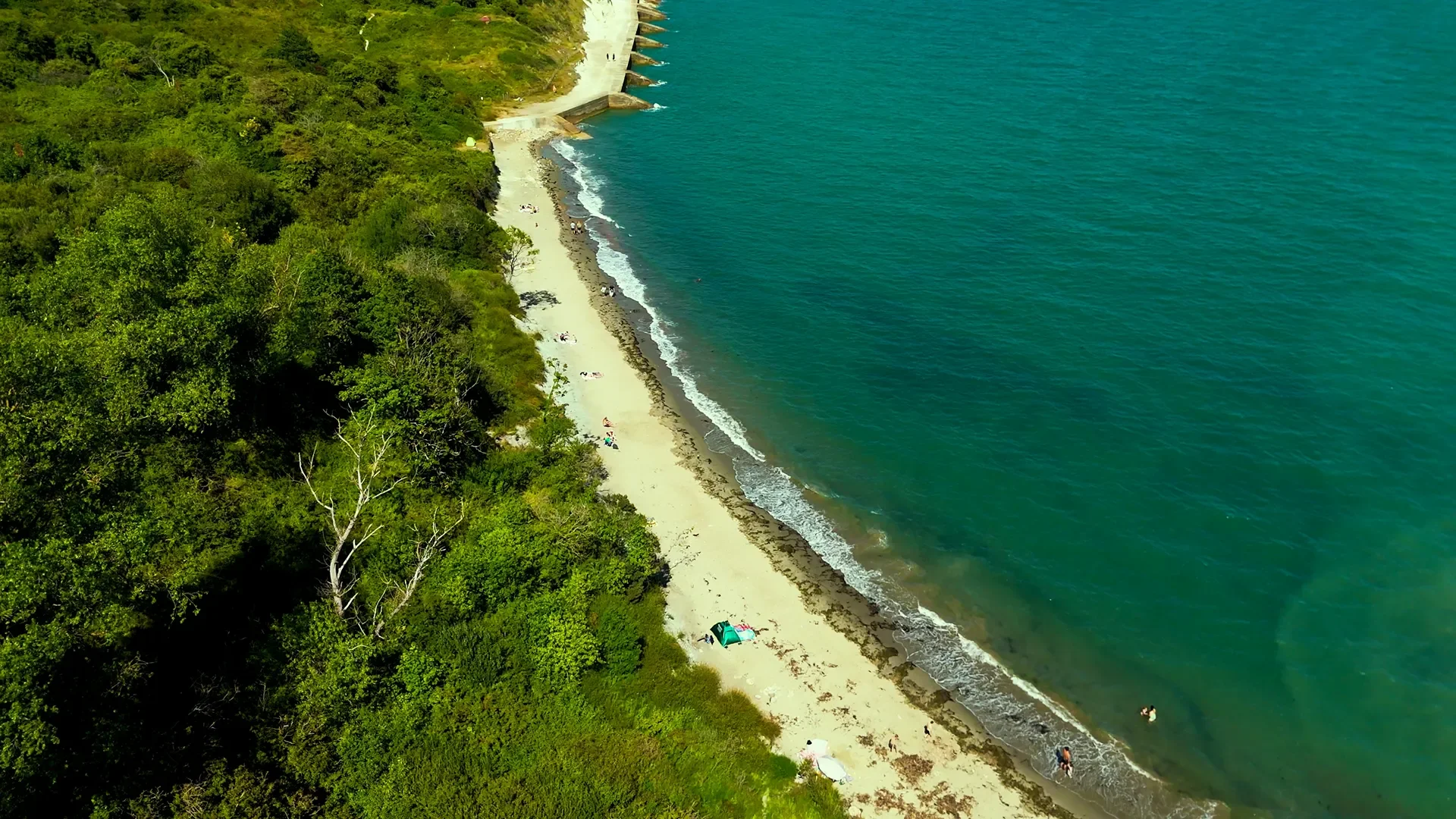 Aerial view of a beach with white sand, green trees bordering the shoreline, and turquoise water with gentle waves. People are scattered along the beach, some under umbrellas or tents.