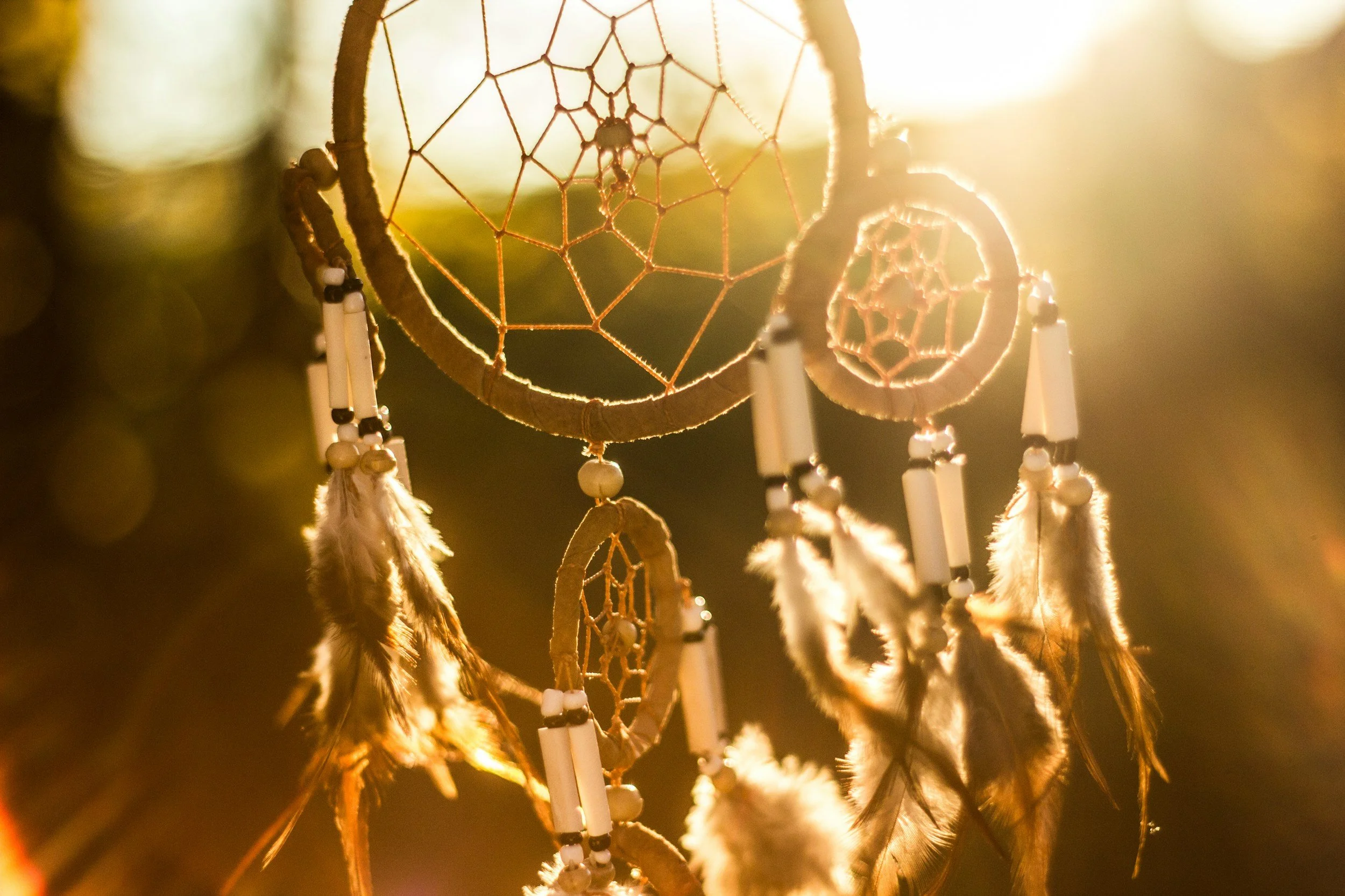 The Formation of a Dream