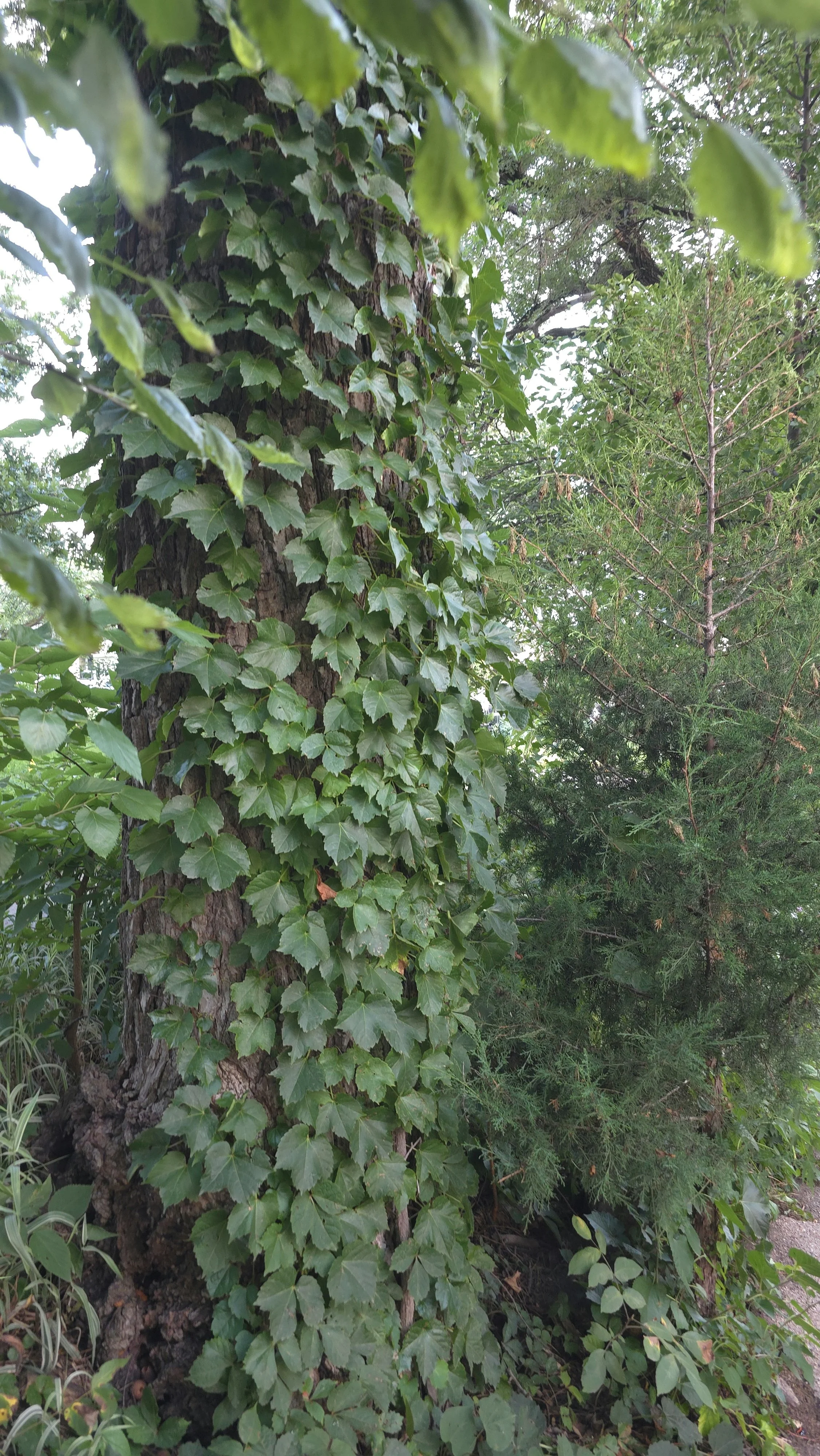 110152.jpg
