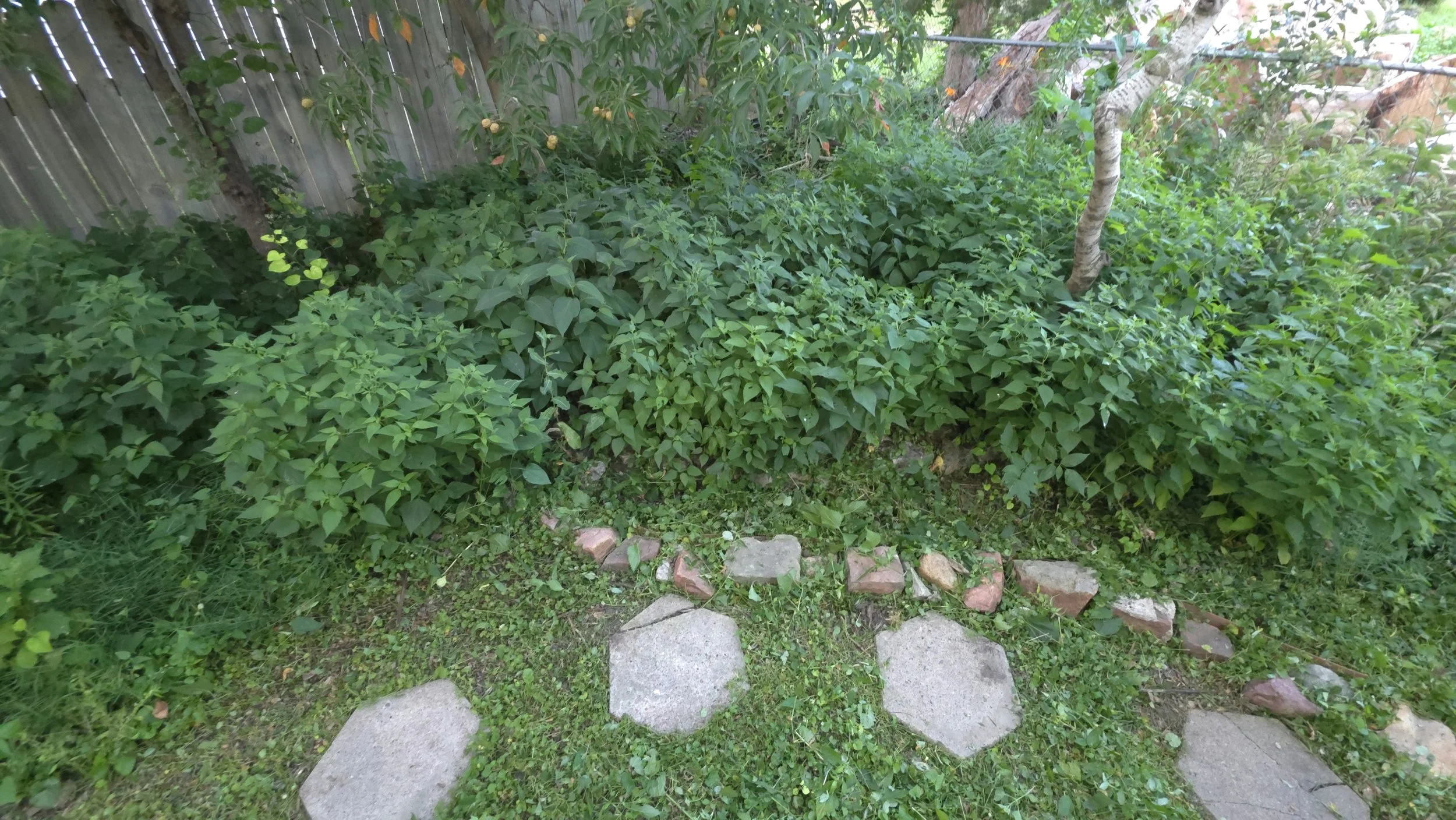 110134.jpg