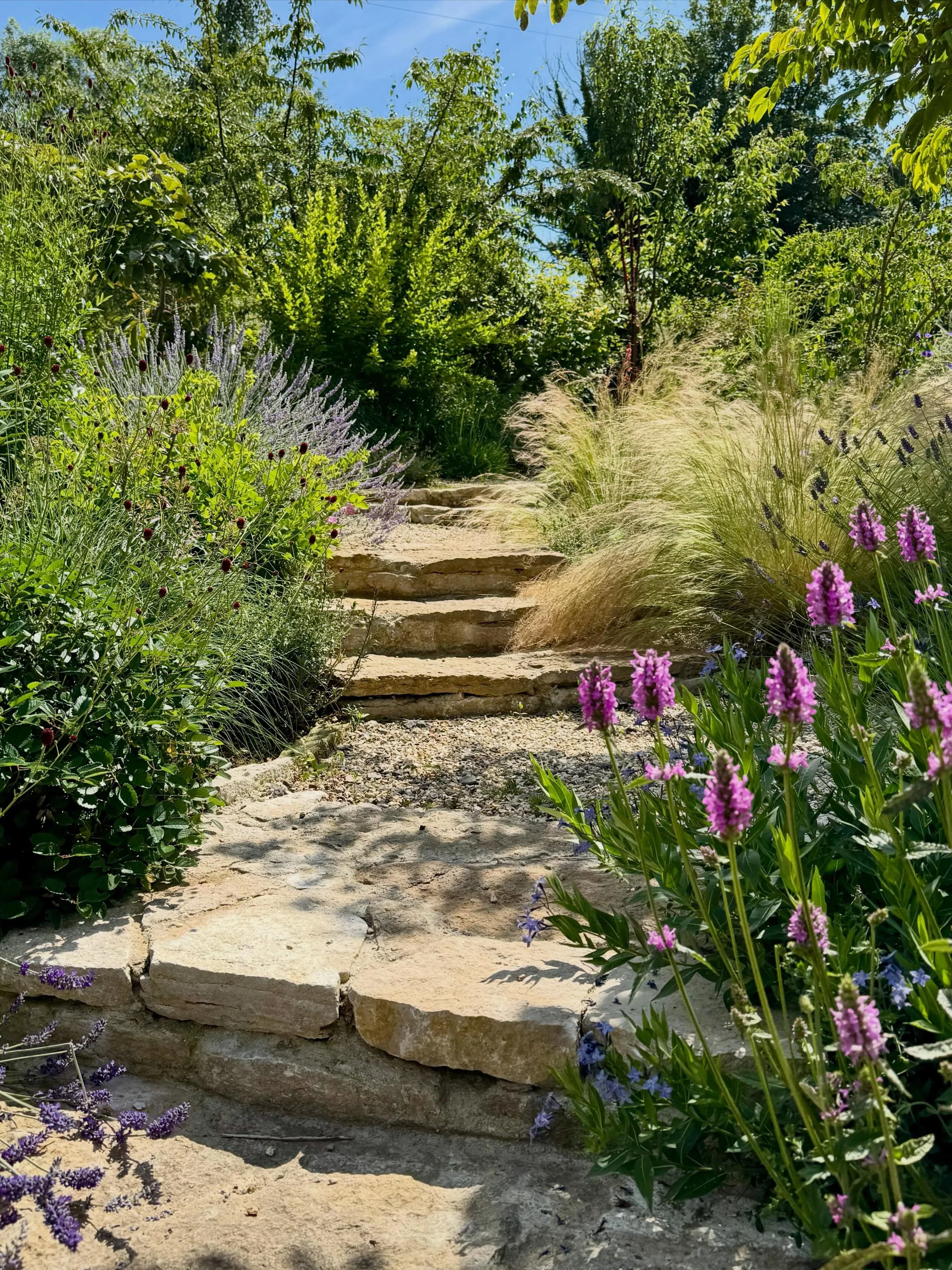 Amazing how many hidden gems are right on the doorstep in the South West. This the garden of Charles Chesshire at Symonsbury, with an amazing array of mature plants and winding paths. #garden #flower #sun