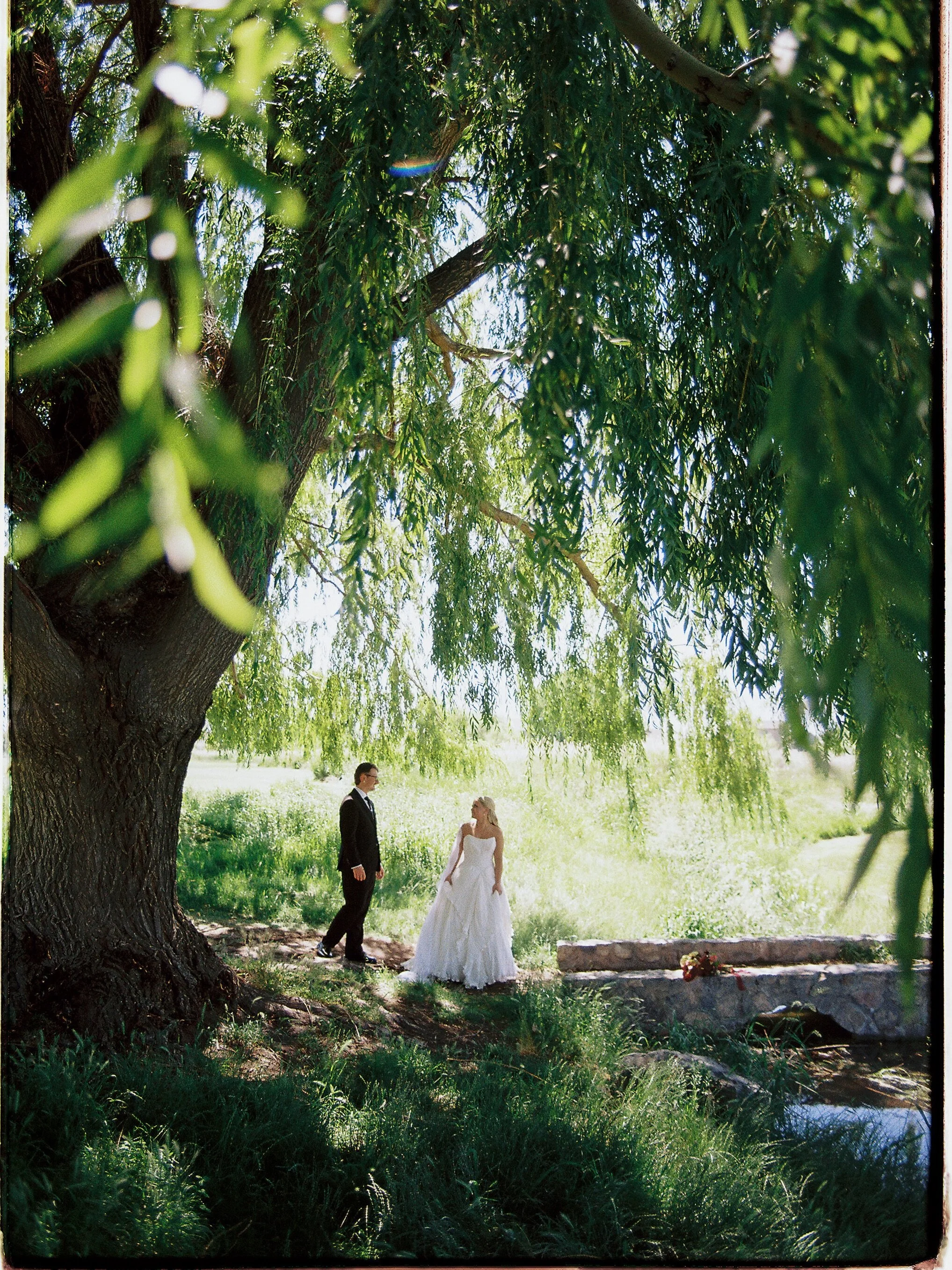 Rhett + Lindsay | on 35mm 🎞️ Underneath the willow tree.  #filmphotography #weddingphotographers 

Bride + Groom : @lindsaytaylo.r @rhedday 
Venue : @sleepyridgeweddings 
Wedding planner : @forevermoreevents