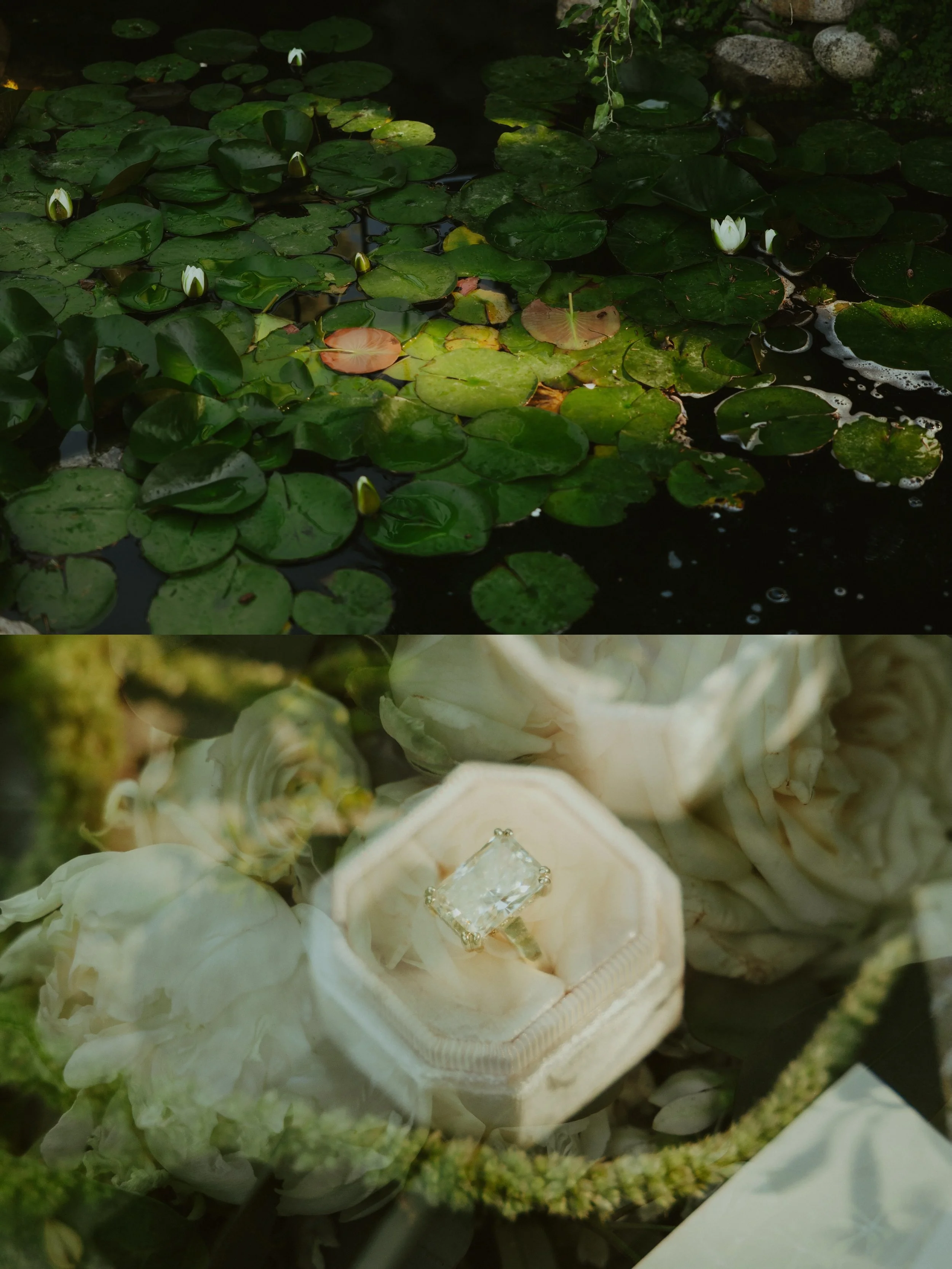Macy and Chance at the beautiful Twenty &amp; Creek 🪷💍🌿 #weddingphotographer #utahvenues