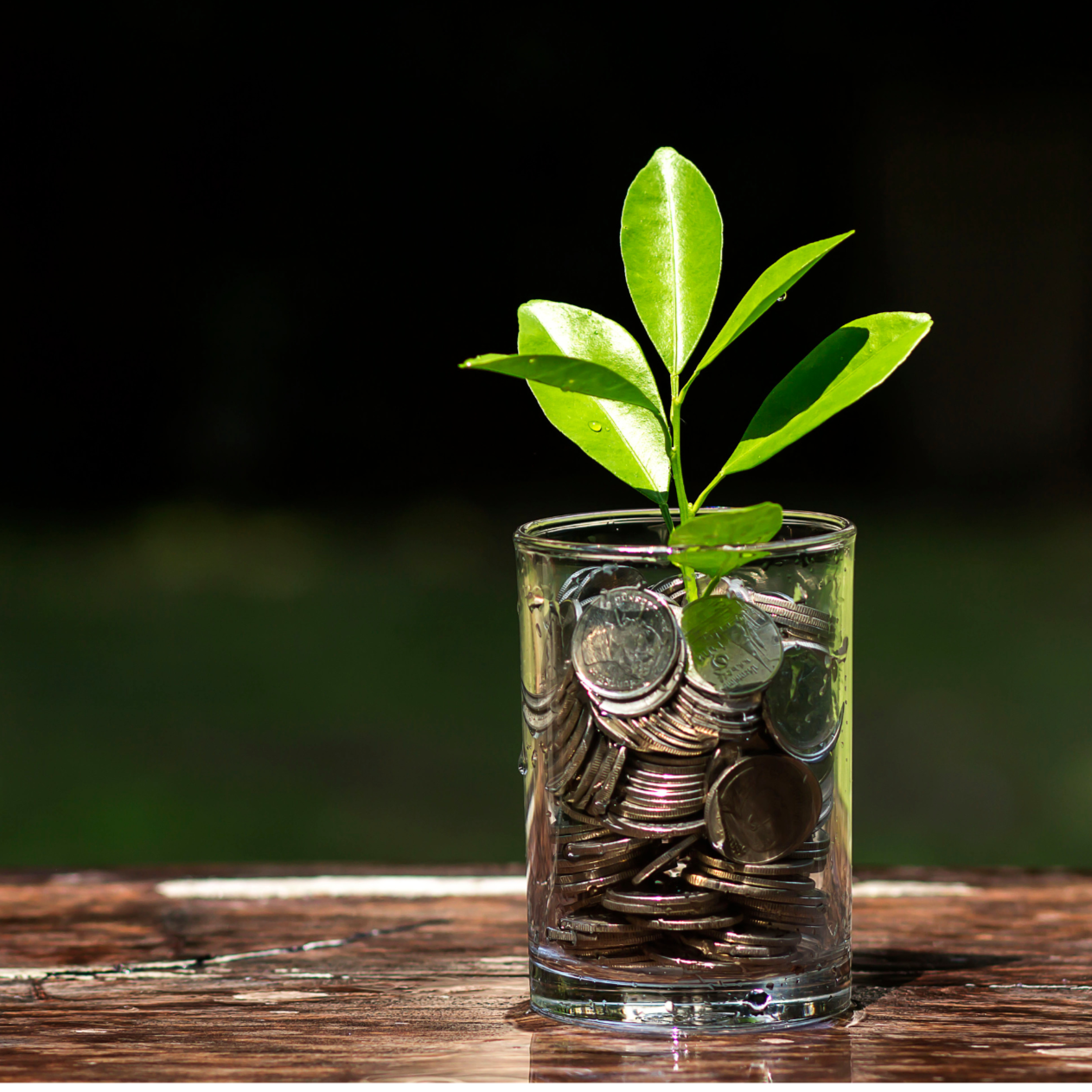 A glass filled with coins, with a small green plant growing out of the top.