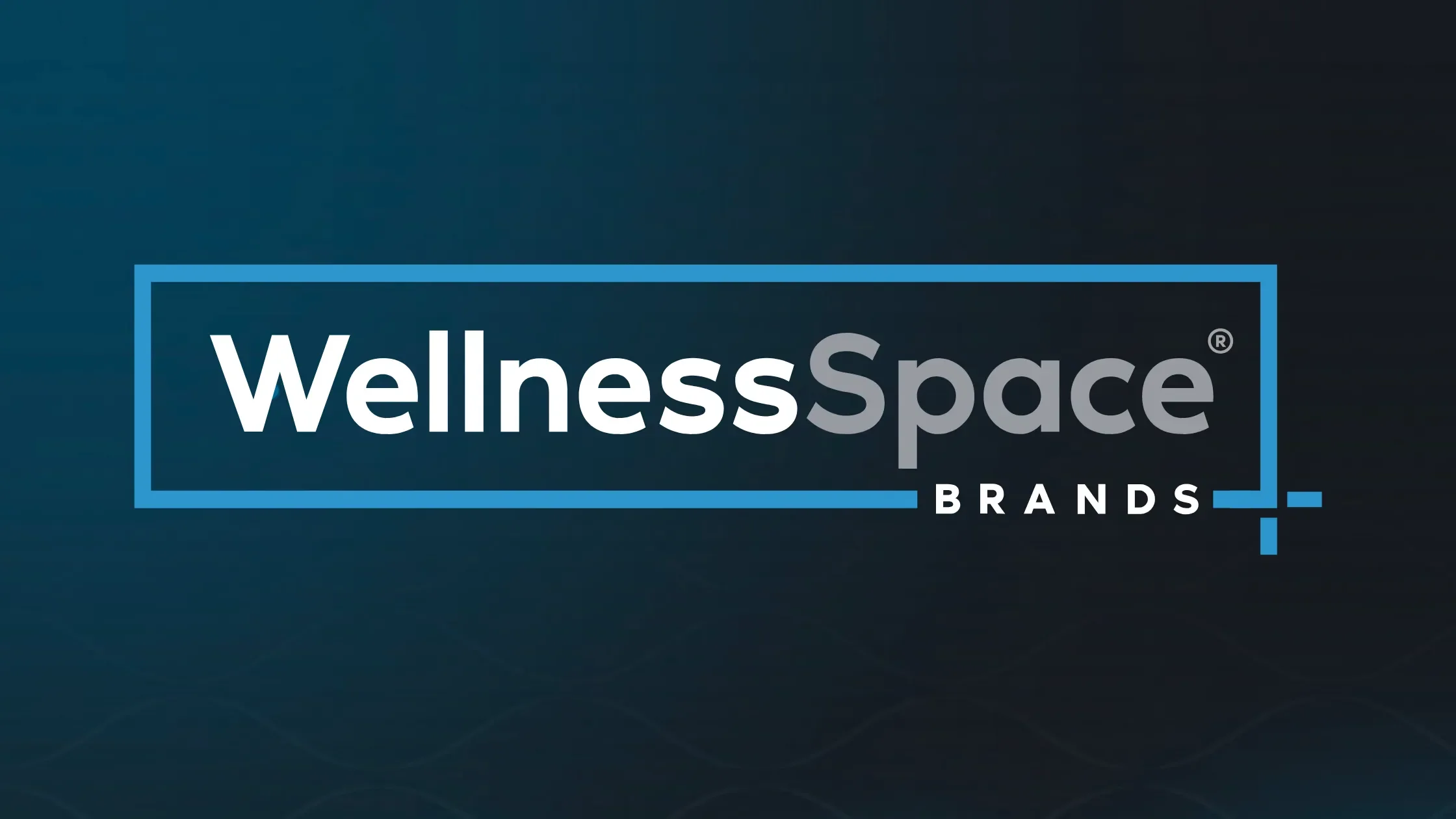 WellnessSpace gym equipment repair and service.