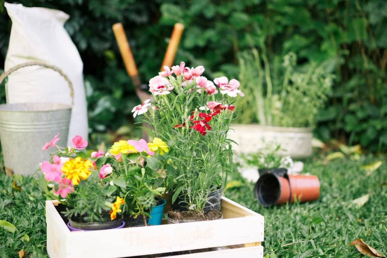 Garten · bis 80 m²