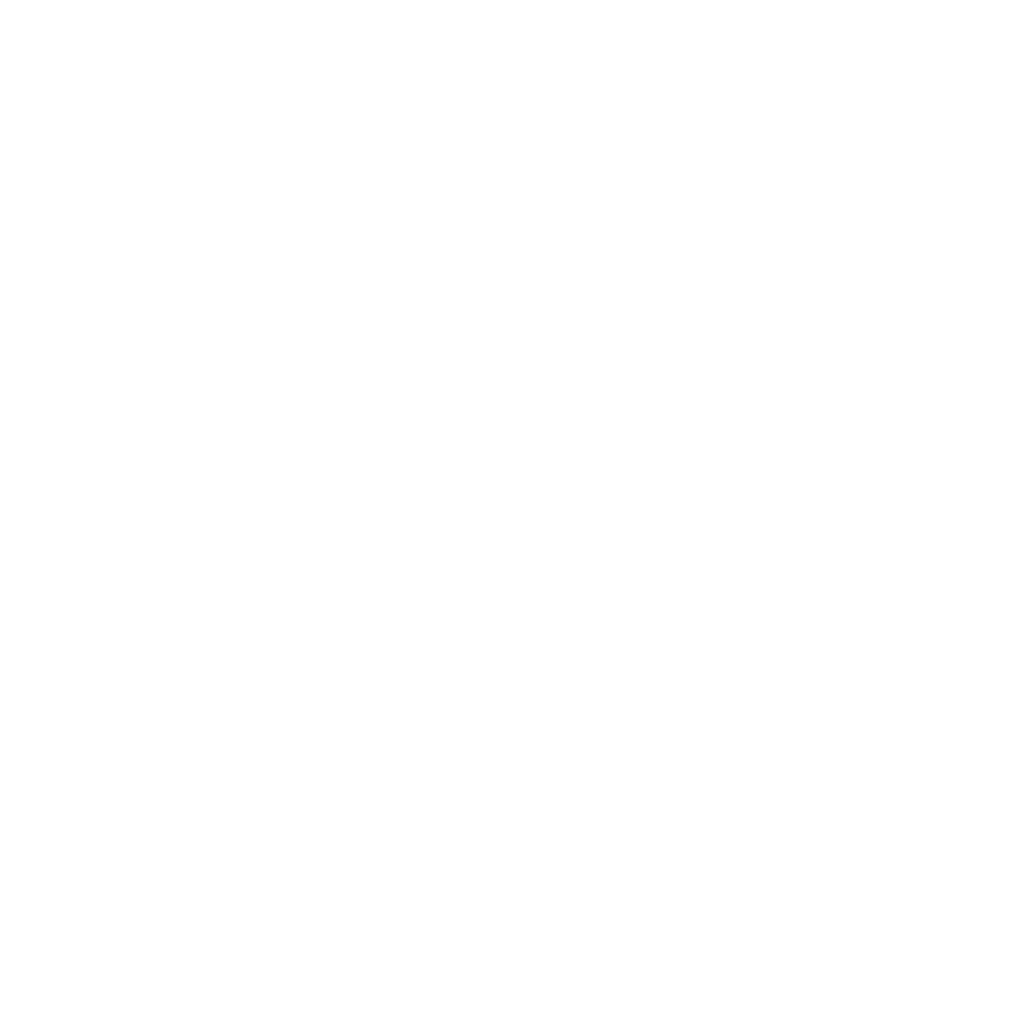 Cycle Studios
