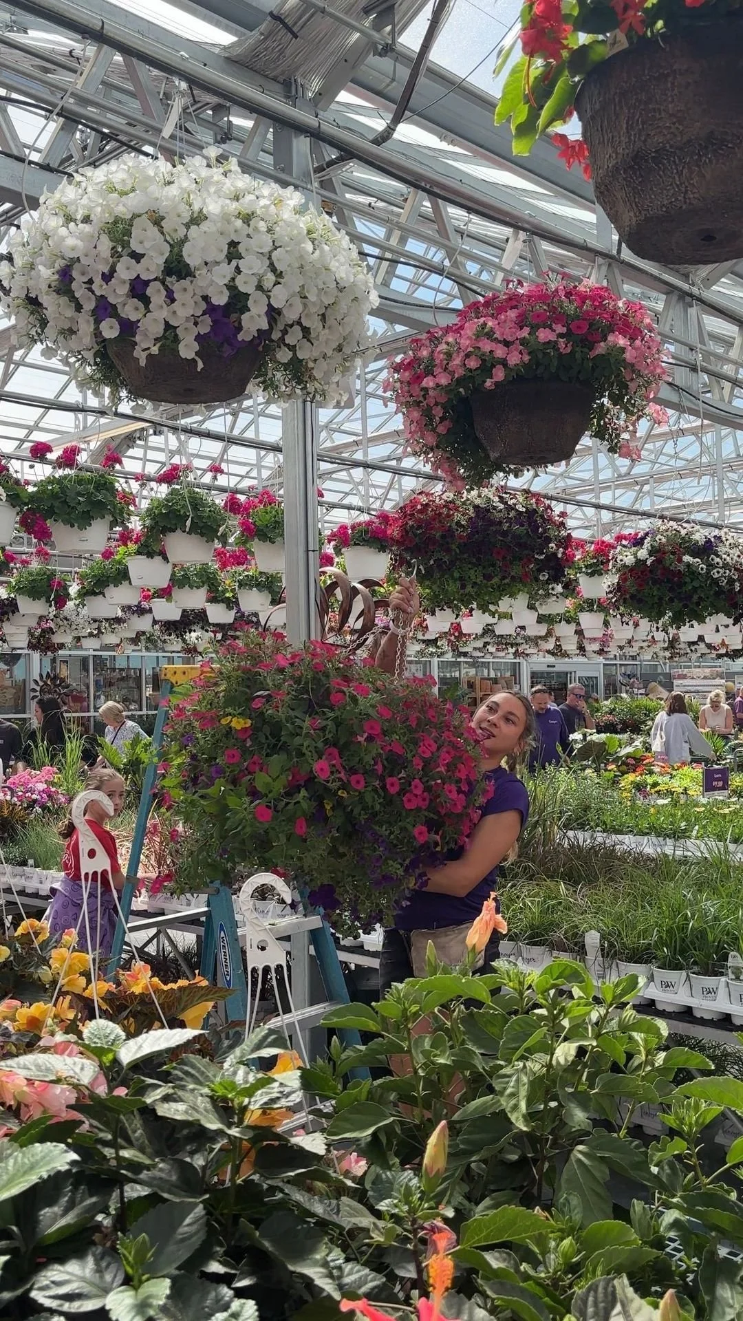 A woman working in a greenhouse with hanging flower baskets and potted plants around her. Several people are visible in the background amid rows of plants and flowers.