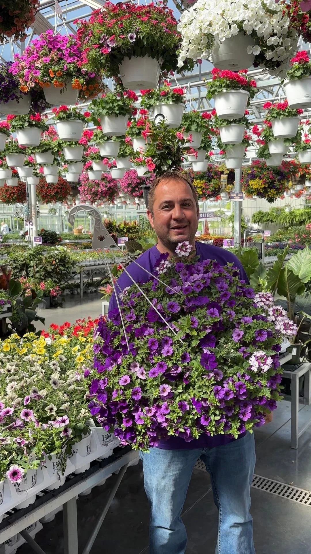 A man standing in a greenhouse filled with hanging and potted flowers, holding a large hanging pot of purple flowers.