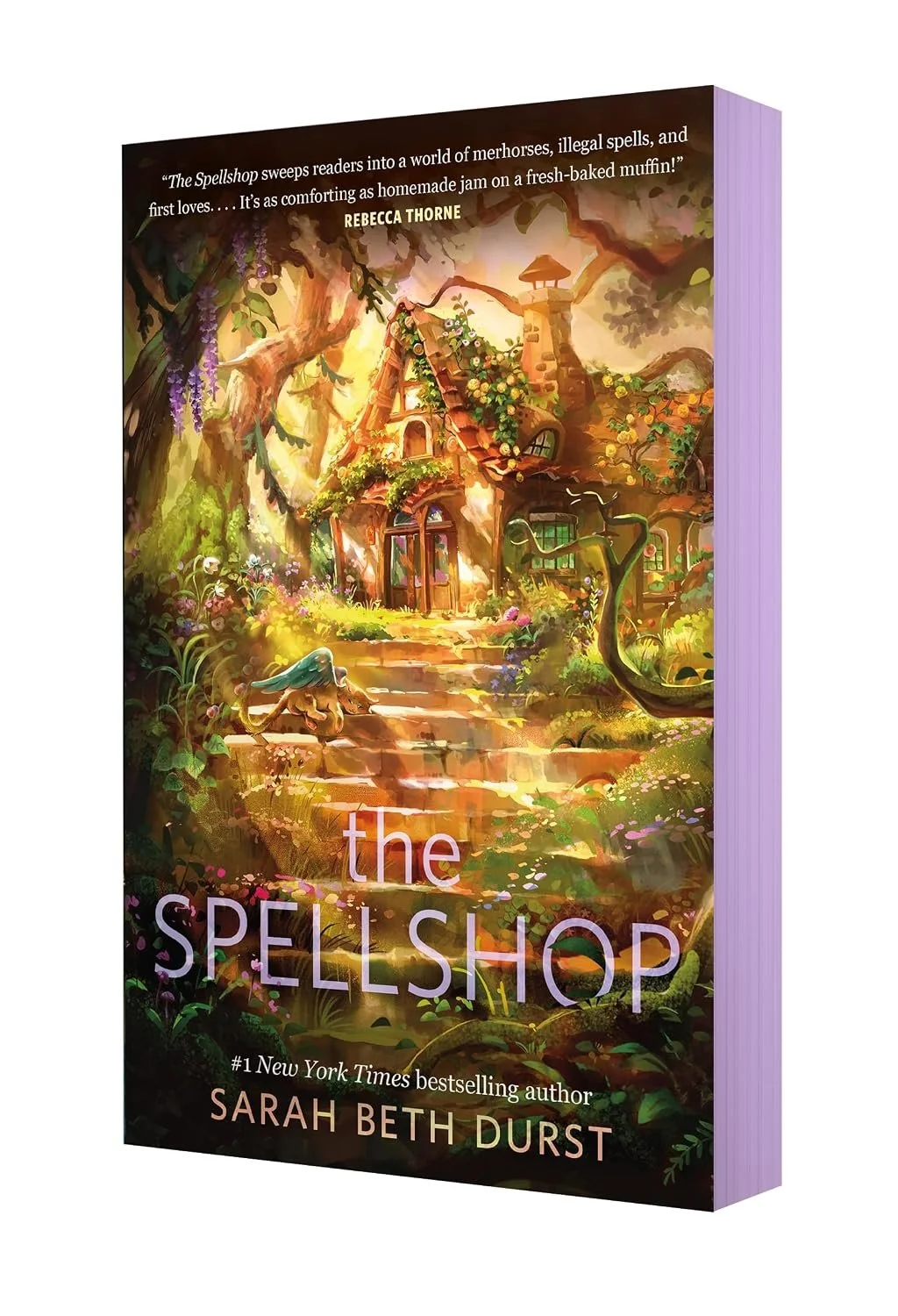 The Spellshop- Sarah Beth Durst