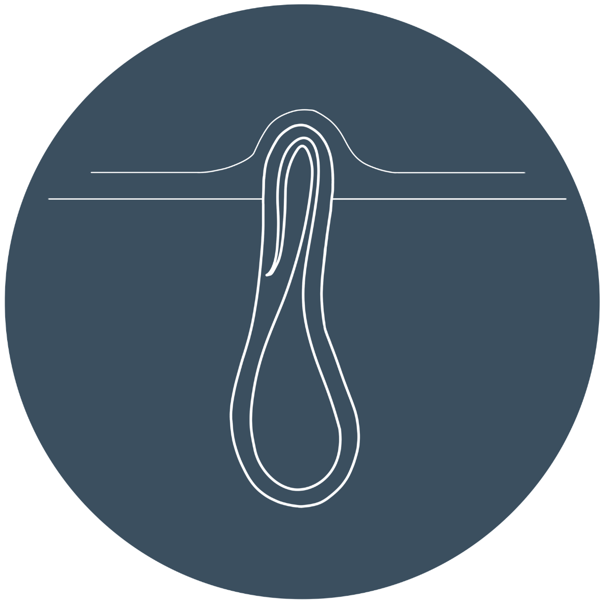 Diagram illustrating a hair follicle beneath the skin, showing hair growth structure.