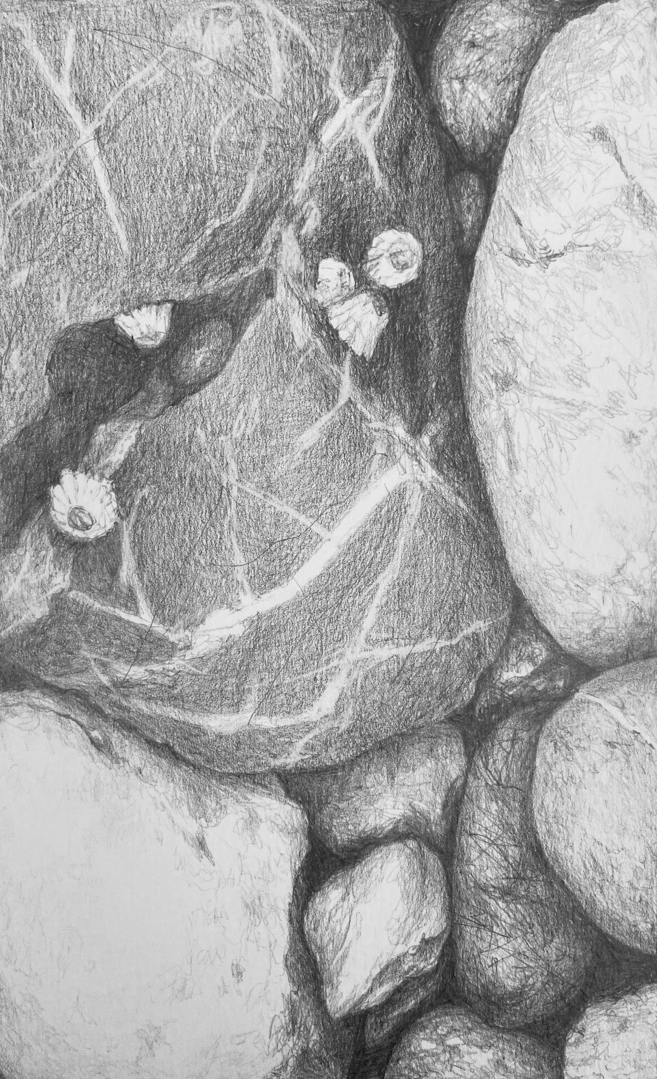 Stones #57 - Graphite - 8" x 5" - Matted10" x 8" - $95