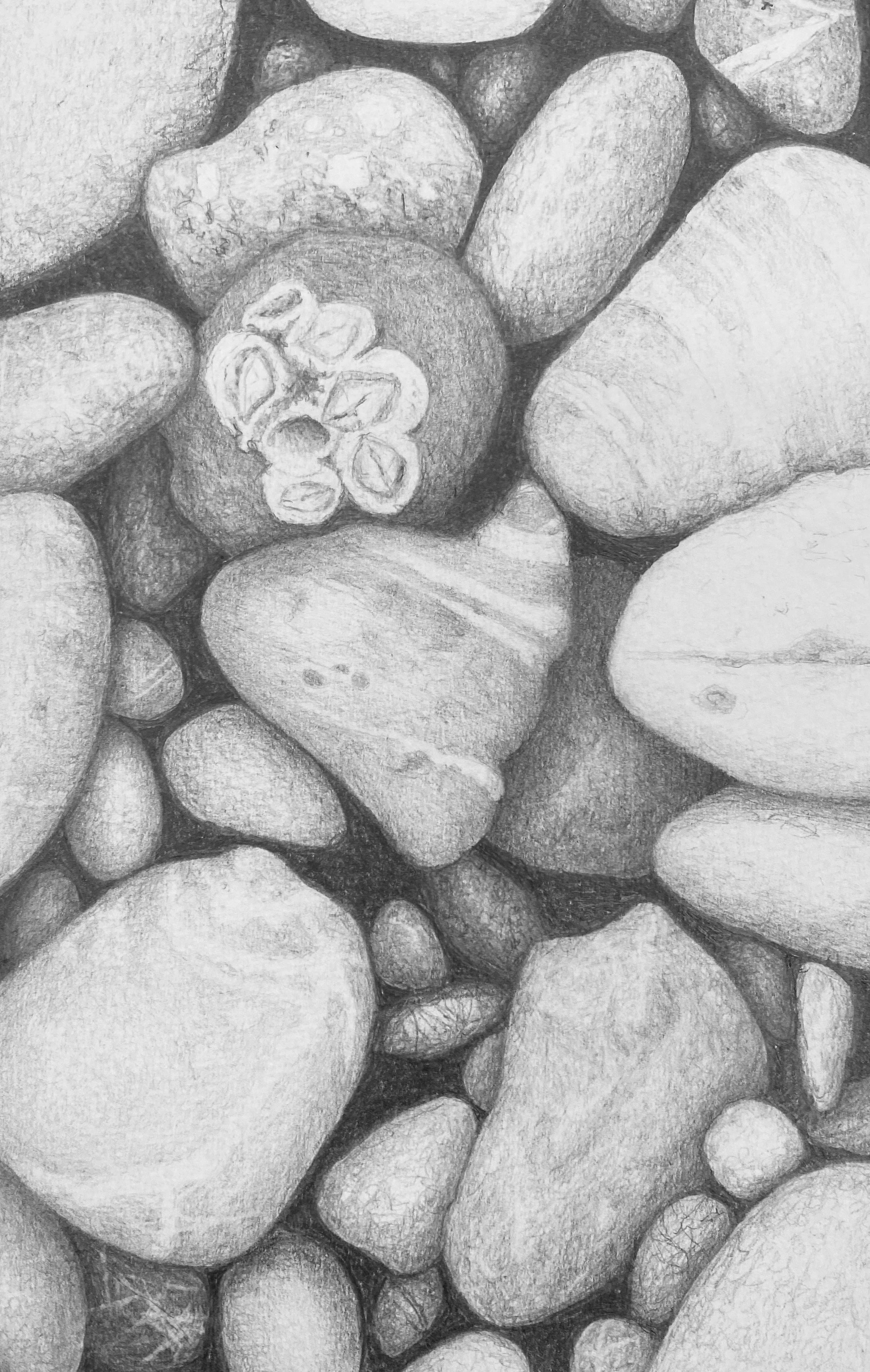 Stones #95 - Graphite - 8" x 5" - Matted 10" x 8" - $95