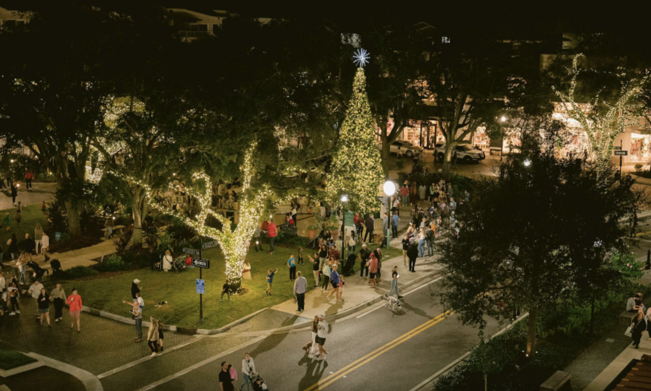 Hyde Park Tree Lighting