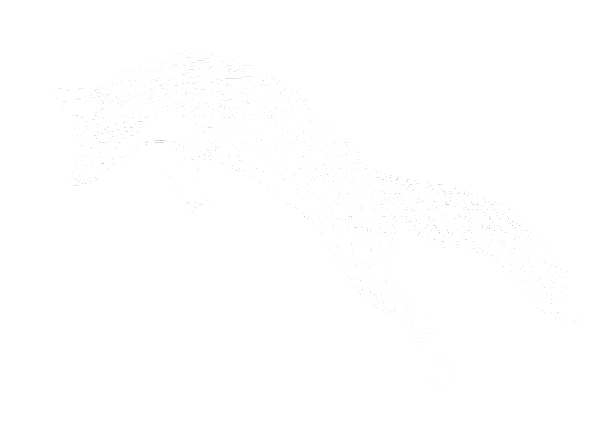 White illustration of a jumping or leaping cat on a black background.