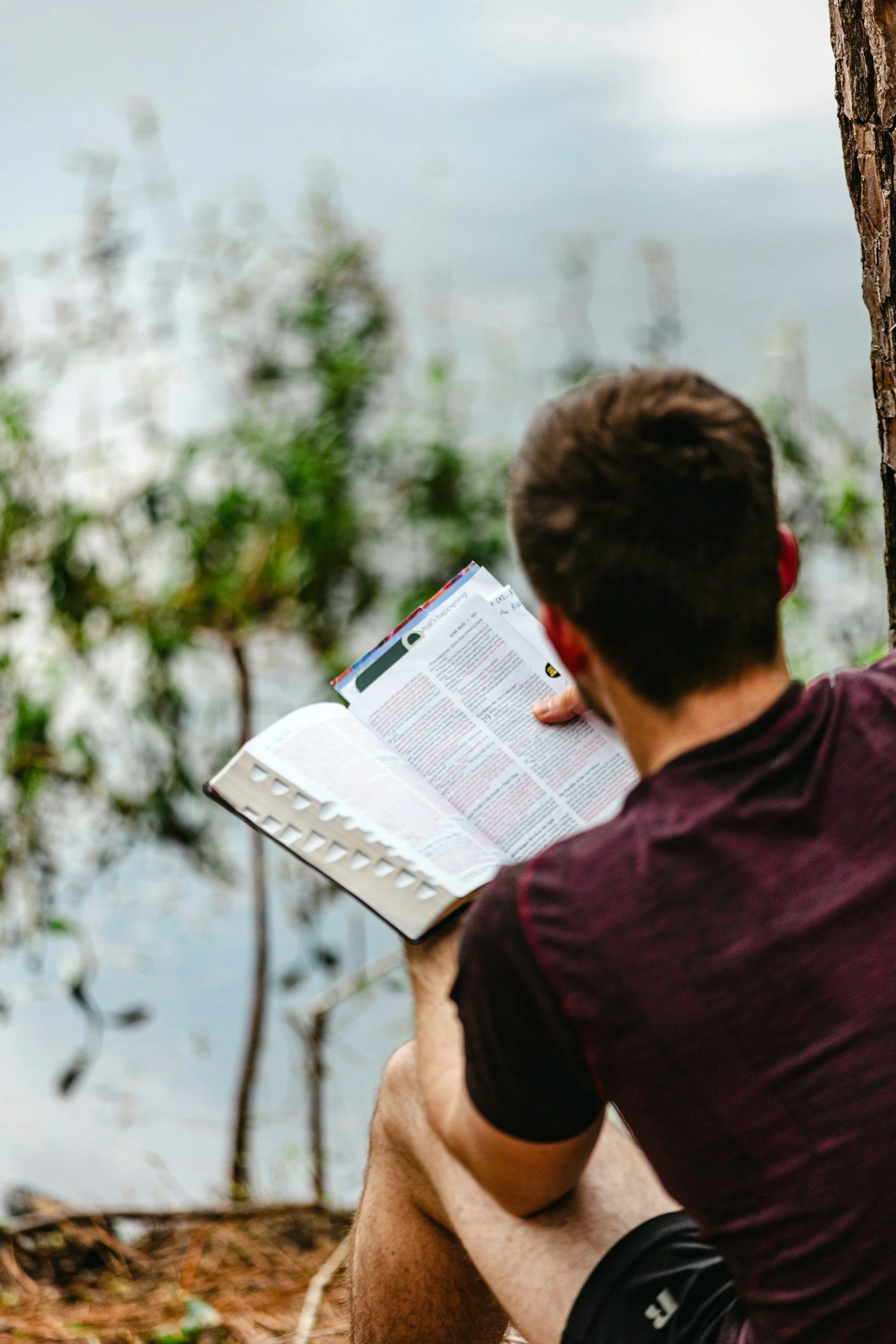 A person sitting by a lake reading a book, with trees and foliage nearby, during daytime.
