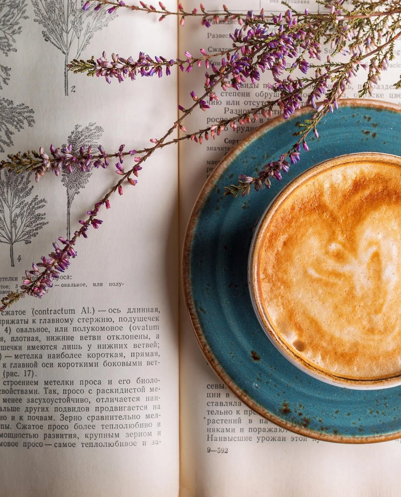 A cup of coffee with frothy milk rests on a teal saucer, placed on an open book with botanical illustrations and Russian text, decorated with sprigs of purple heather flowers.