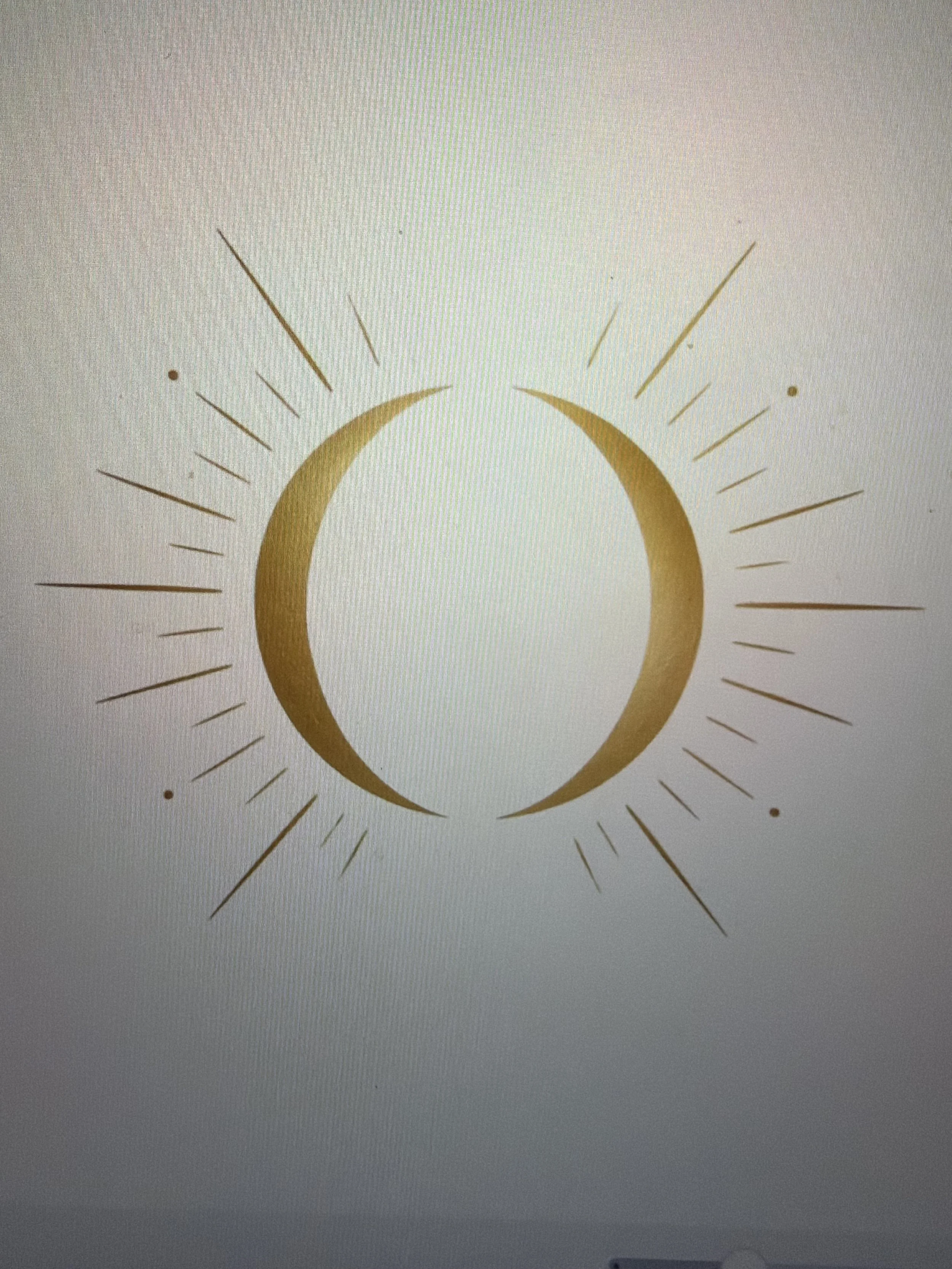 Conscious Conception Consult