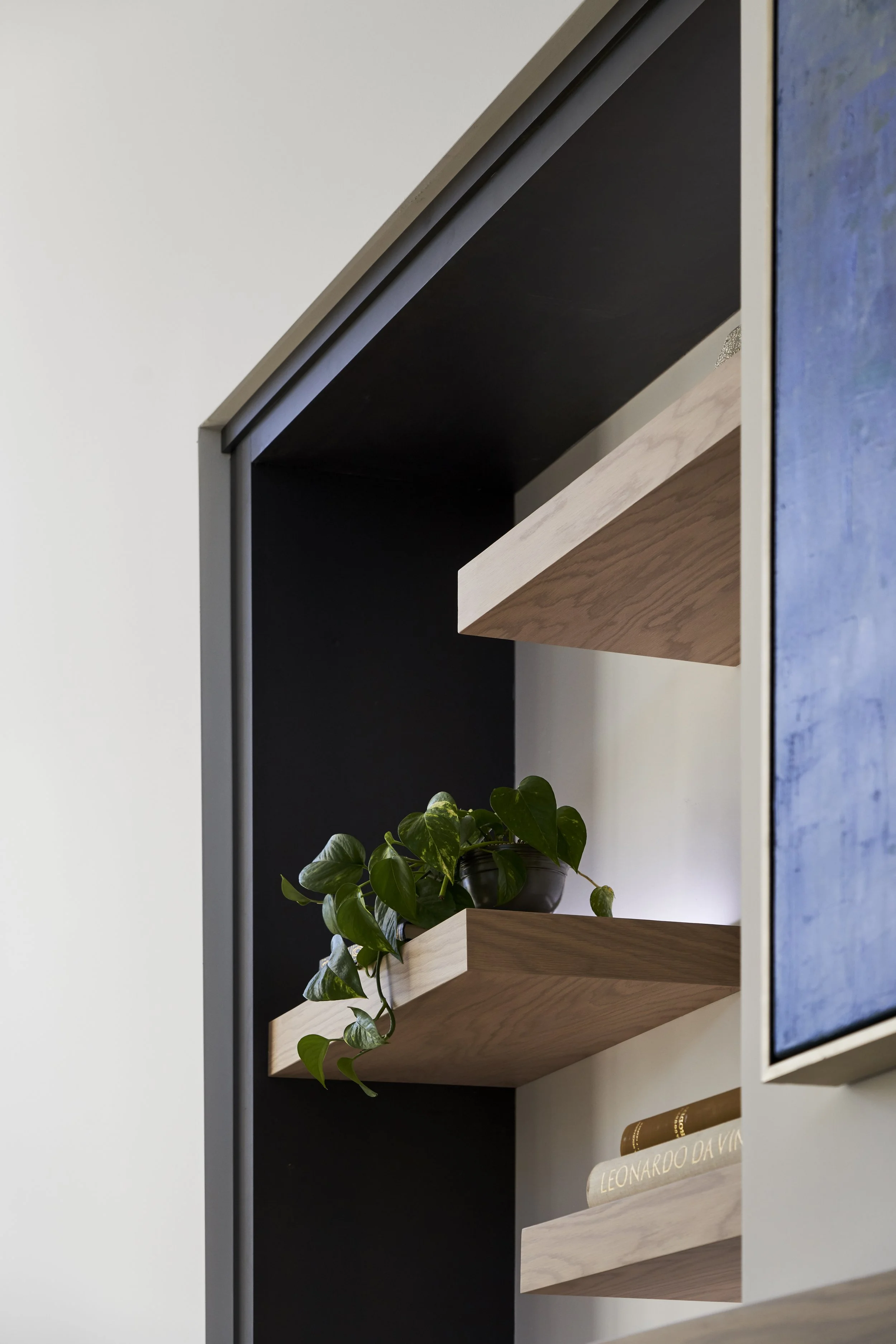 art, living room shelves, plants, books