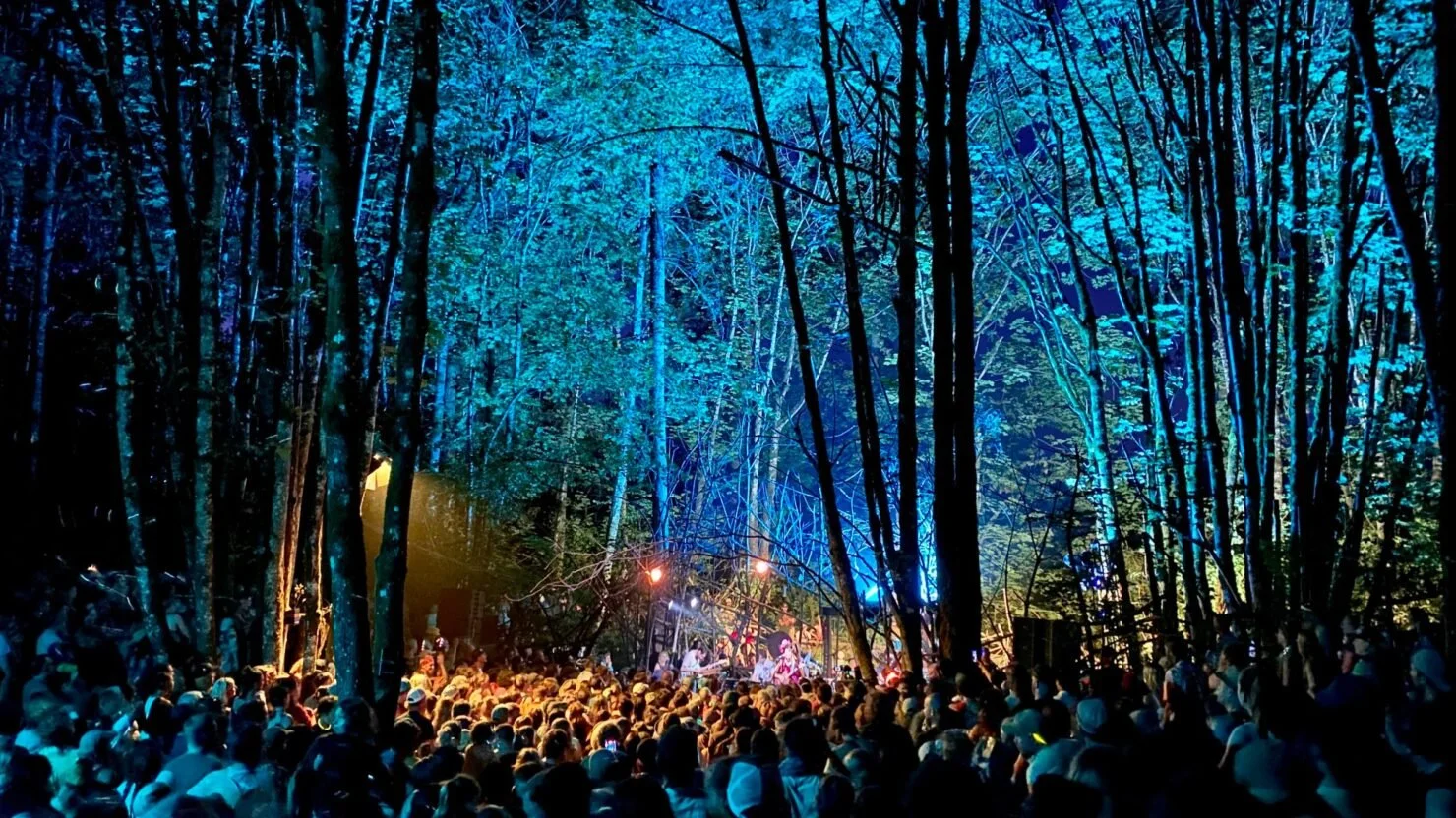 pickathon-2022-woods--1480x832.jpg