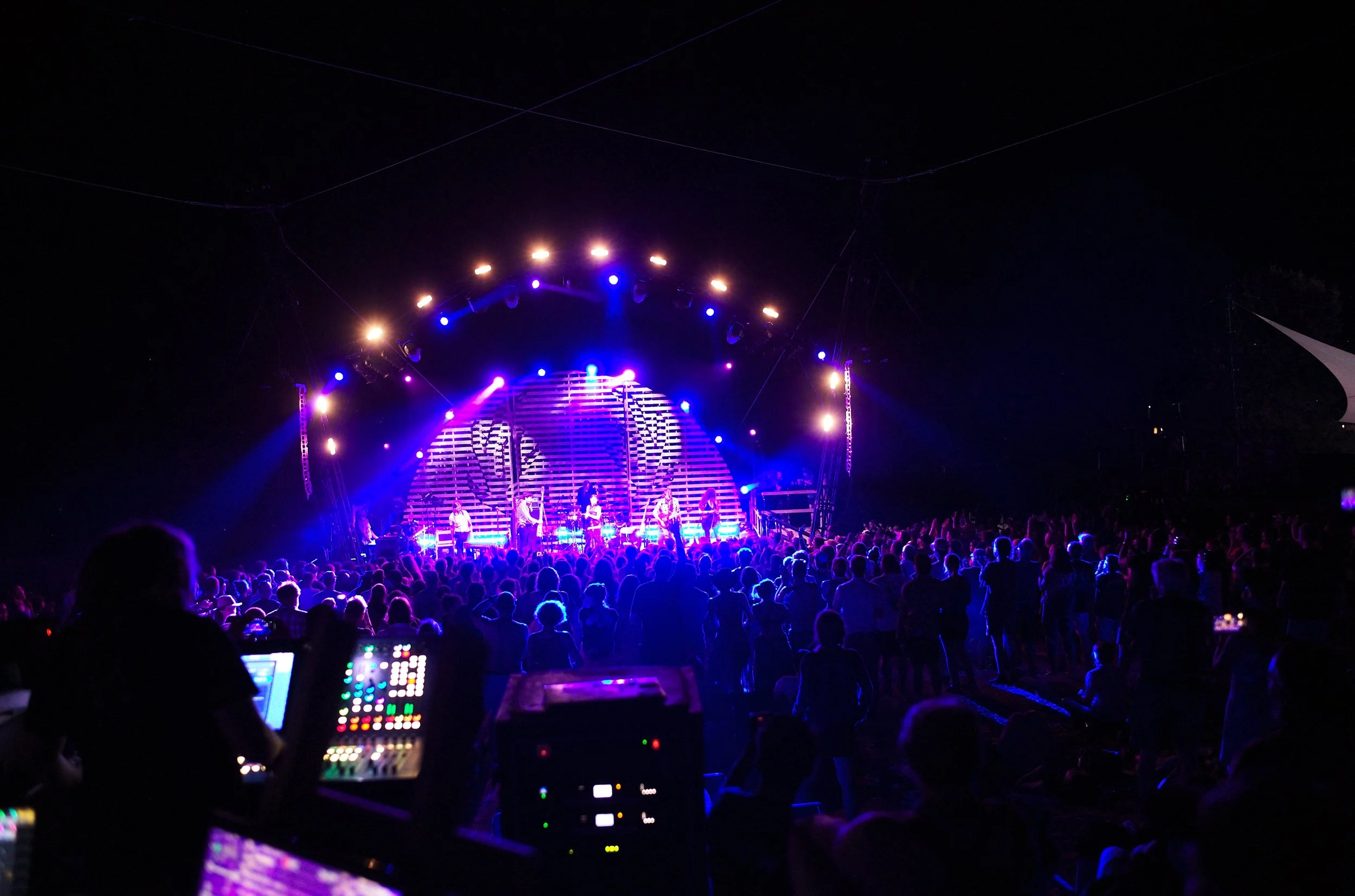 Rob_Kerr_Elephant_Revival_Paddock.jpg