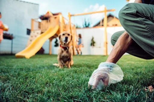 The Premium Poop Patrol (Add-On)