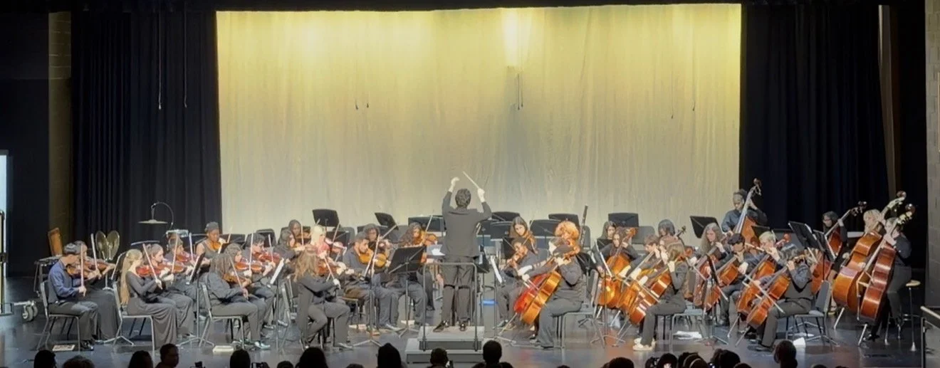 An orchestra performing on stage with a conductor in front, various musicians playing violins, cellos, and a double bass, in a concert hall.
