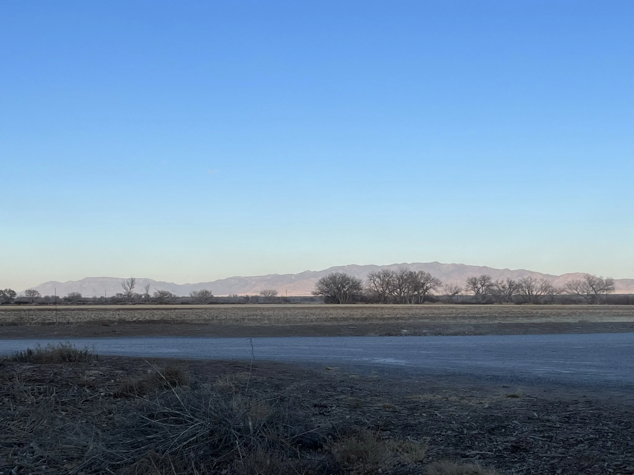Landscape view of distant mountains, bare trees in the foreground, and a low sunlit sky during dusk or dawn.