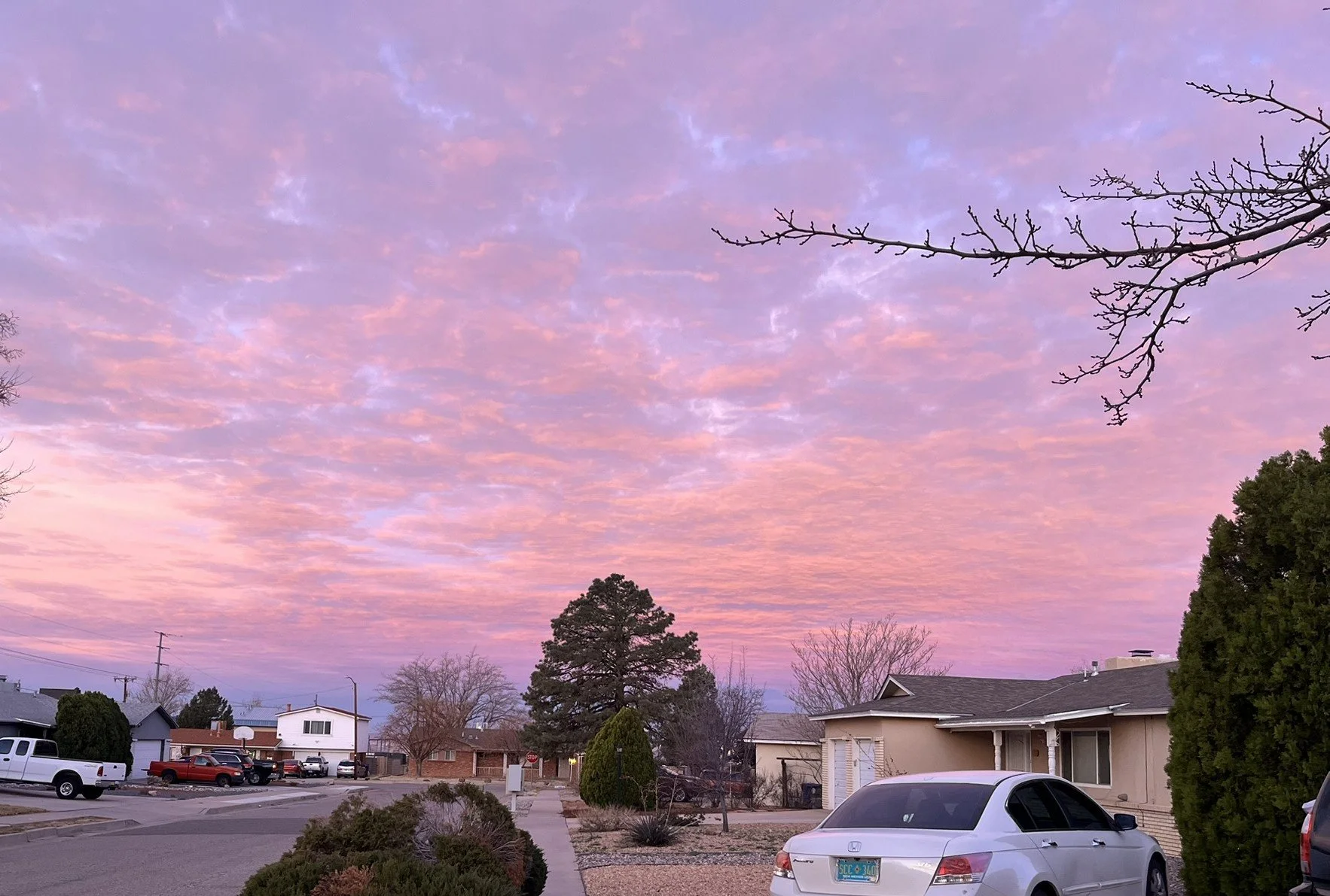 Suburban neighborhood at sunset with colorful pink and purple clouds in the sky, houses, trees, and parked cars visible in the scene.