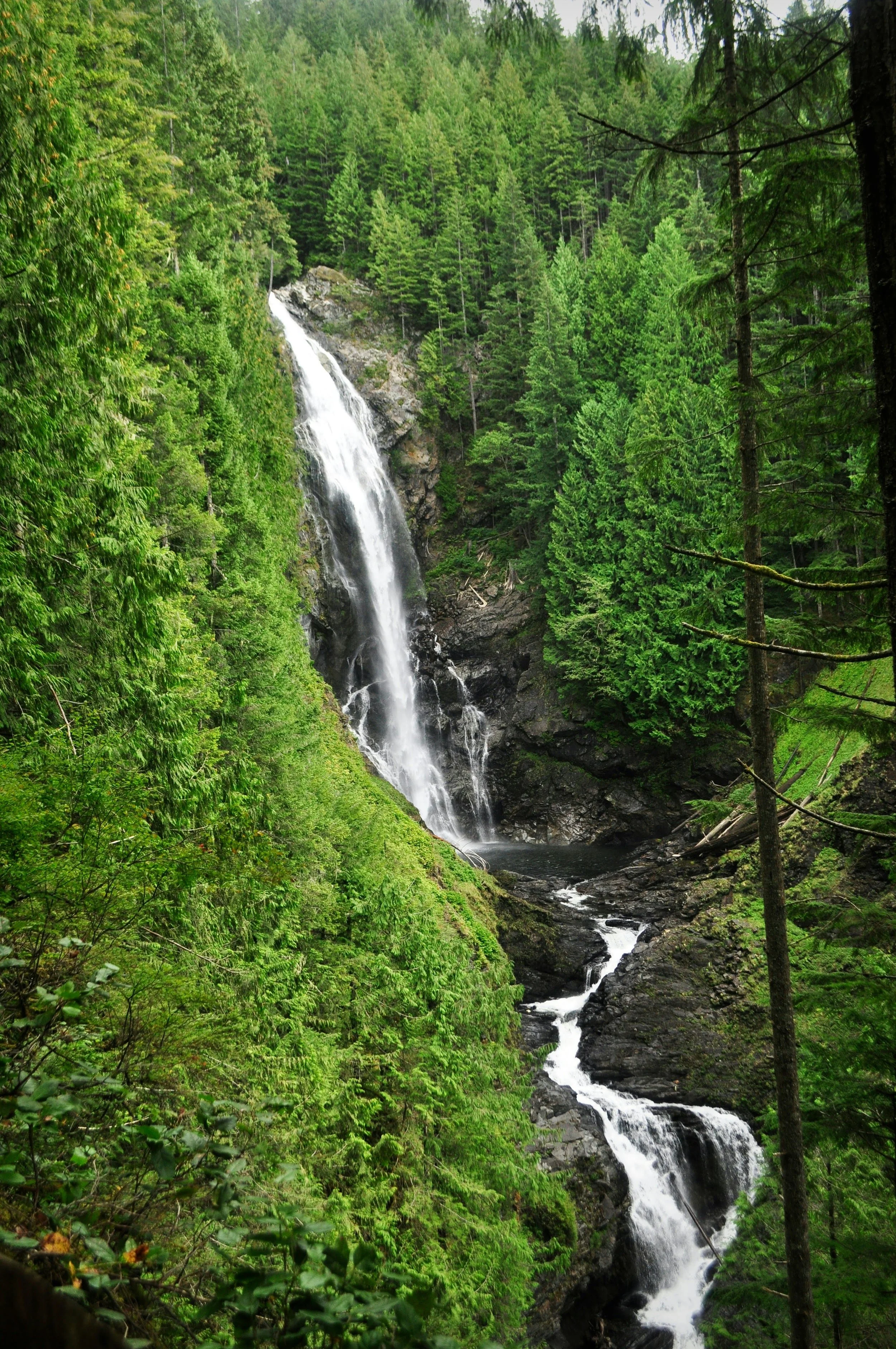 A waterfall cascading down a rocky cliff surrounded by lush green trees and foliage in a forest.