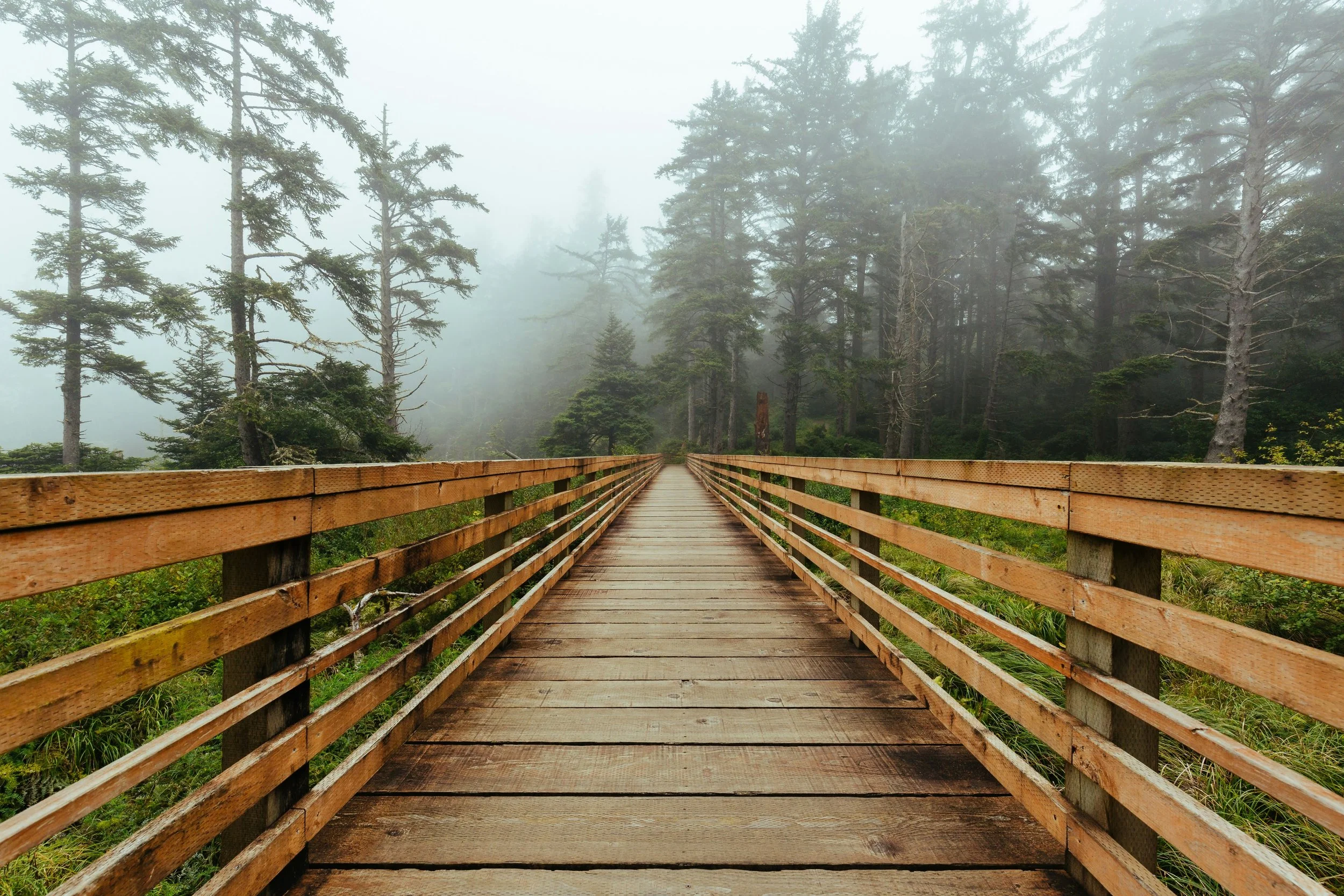 A wooden boardwalk with railings extending into a foggy forest with tall pine trees.