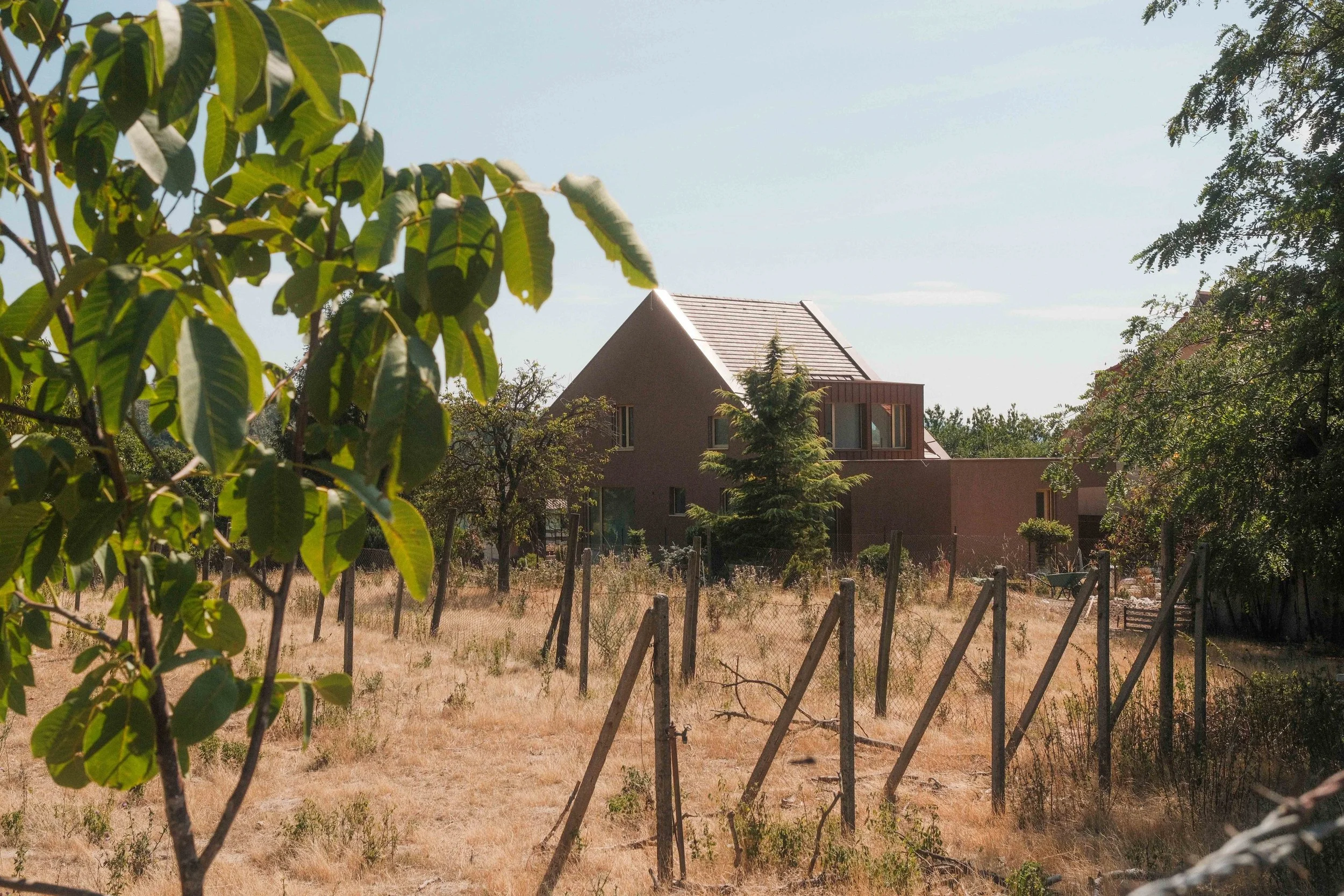 A backyard with a dry grassy yard, a chain-link fence, trees, and a modern house with a brown exterior and a sloped roof in the background. Green leaves in the foreground partially obscure the scene.