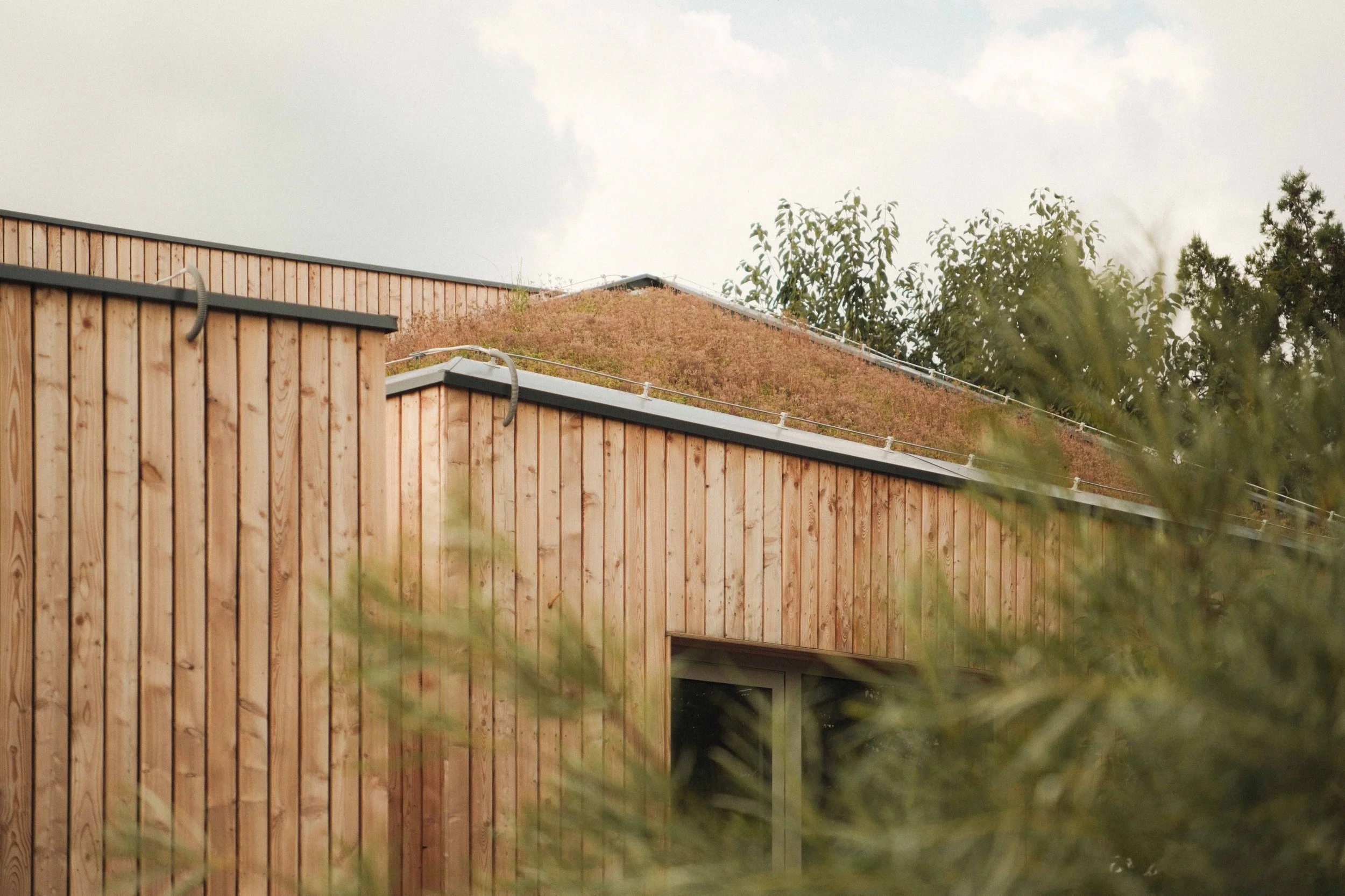 Photo of a modern building with wooden vertical siding and a rust-colored, moss-covered roof, partially obscured by green foliage, and a cloudy sky in the background.