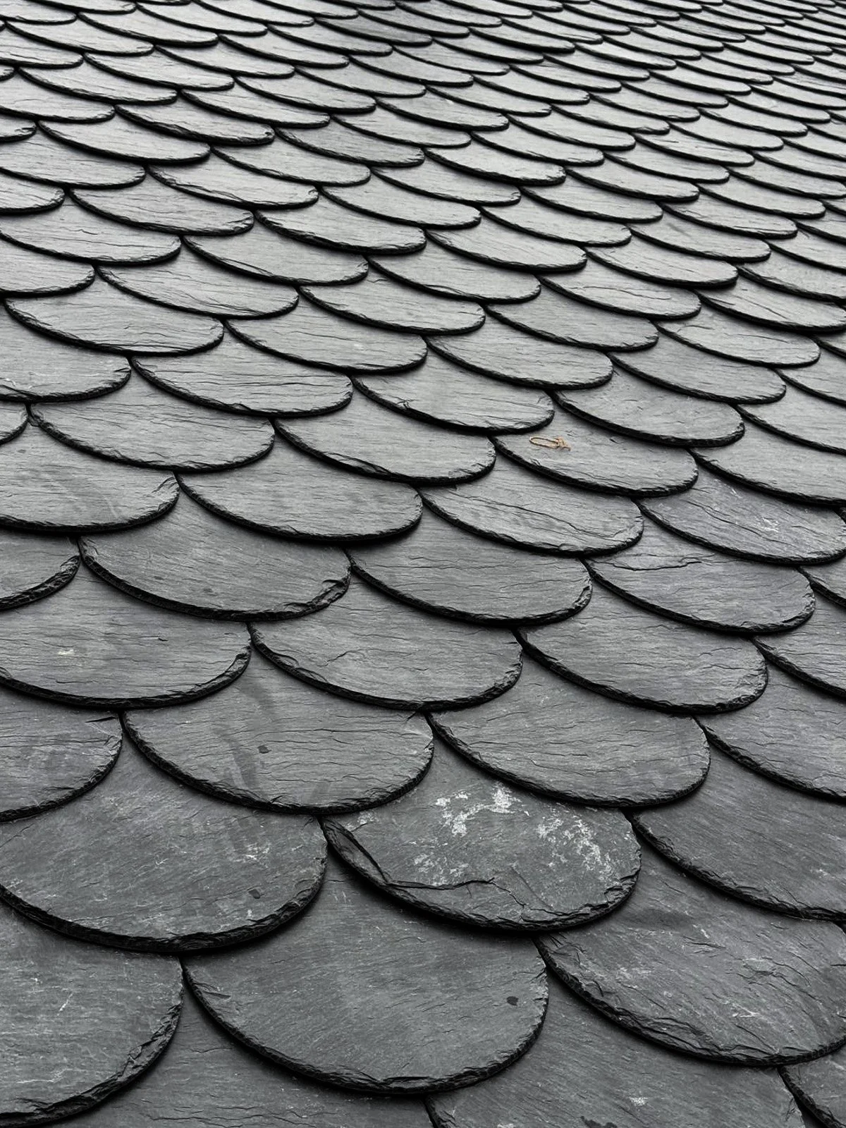 Close-up of black slate shingles on a roof.