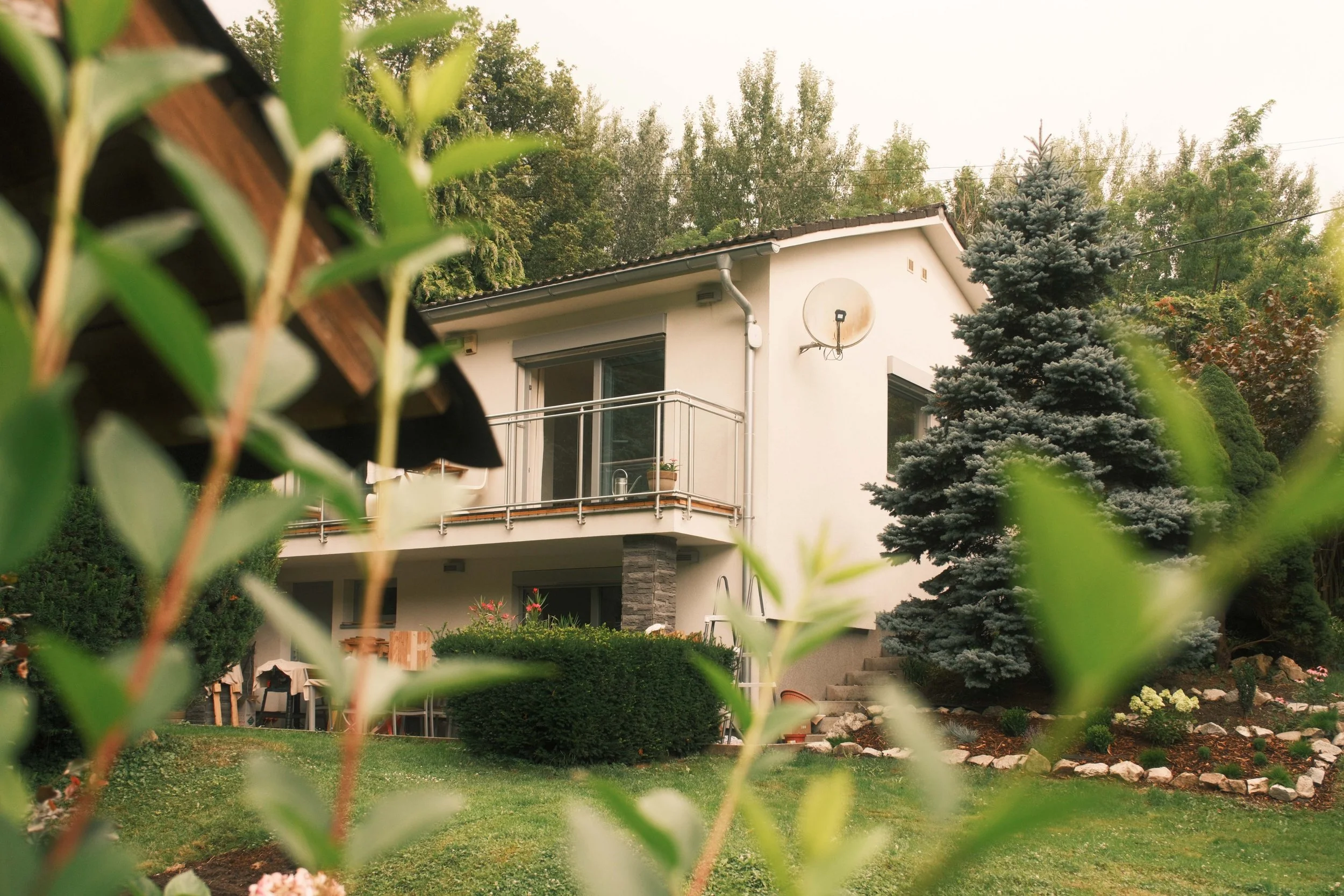 A house with a balcony, satellite dish, and large evergreen trees in the backyard, partially obscured by green leafy plants in the foreground.