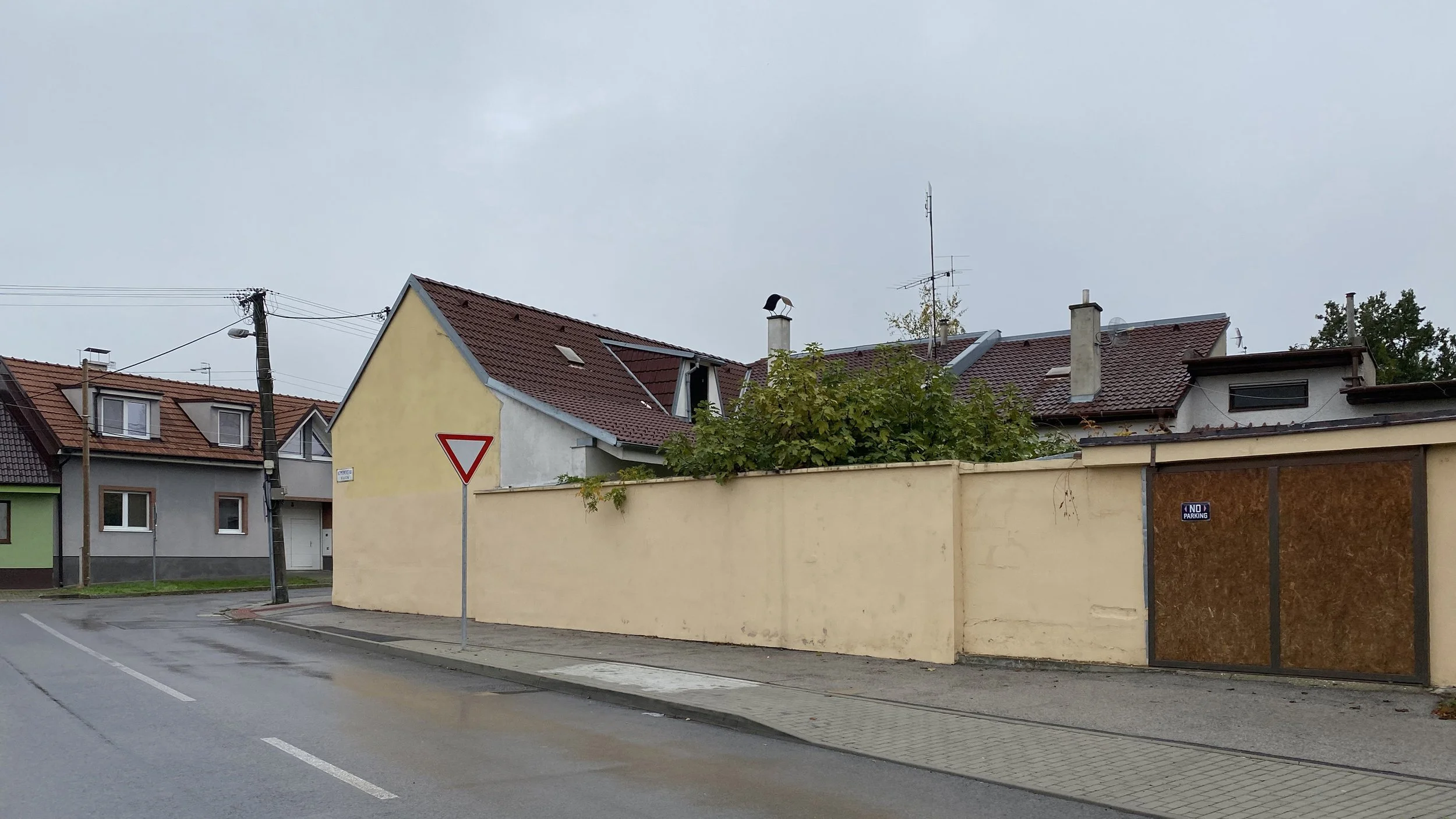Residential neighborhood with houses, utility pole, street, and a wall topped with greenery.