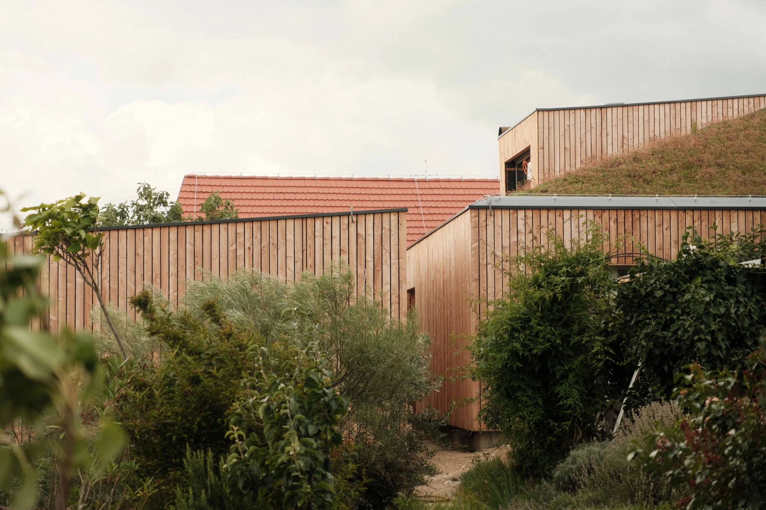 Residential area with modern wooden homes and lush greenery in the foreground.