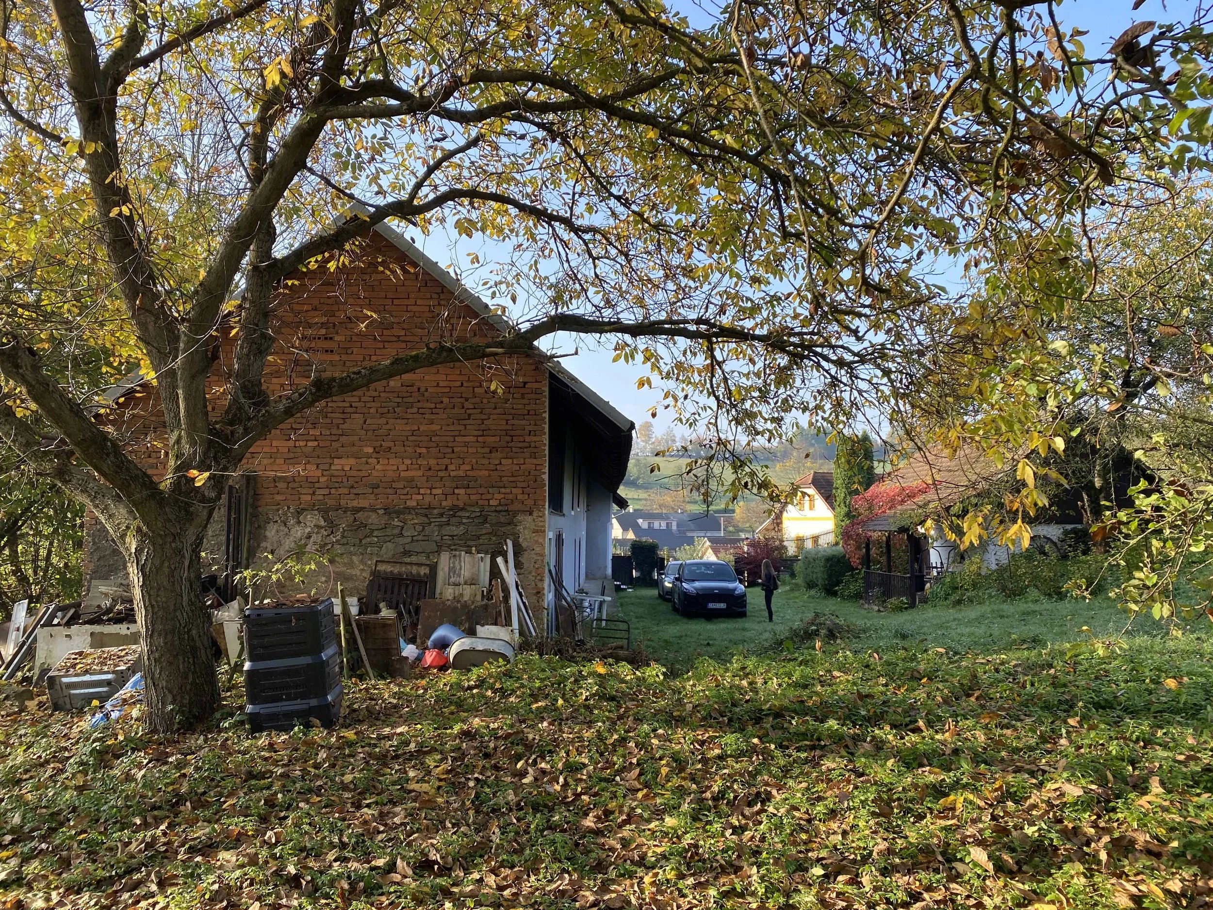 A backyard scene with a large tree with autumn leaves, a brick house wall, and other houses in the background. The yard has leaves and various objects scattered around, with cars parked in the driveway.
